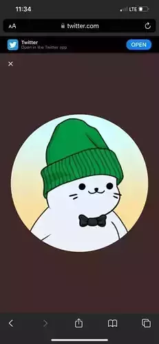 Nft Model Sappyseels Sport