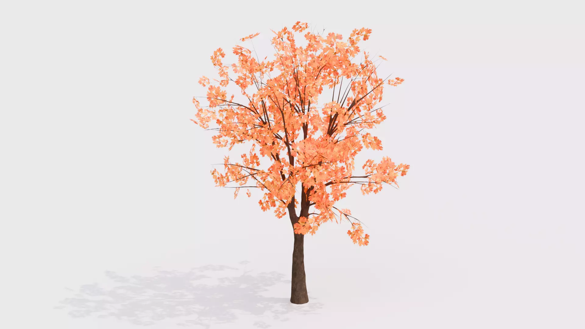 Autumn Tree 3D Model Low-poly 3D model_3