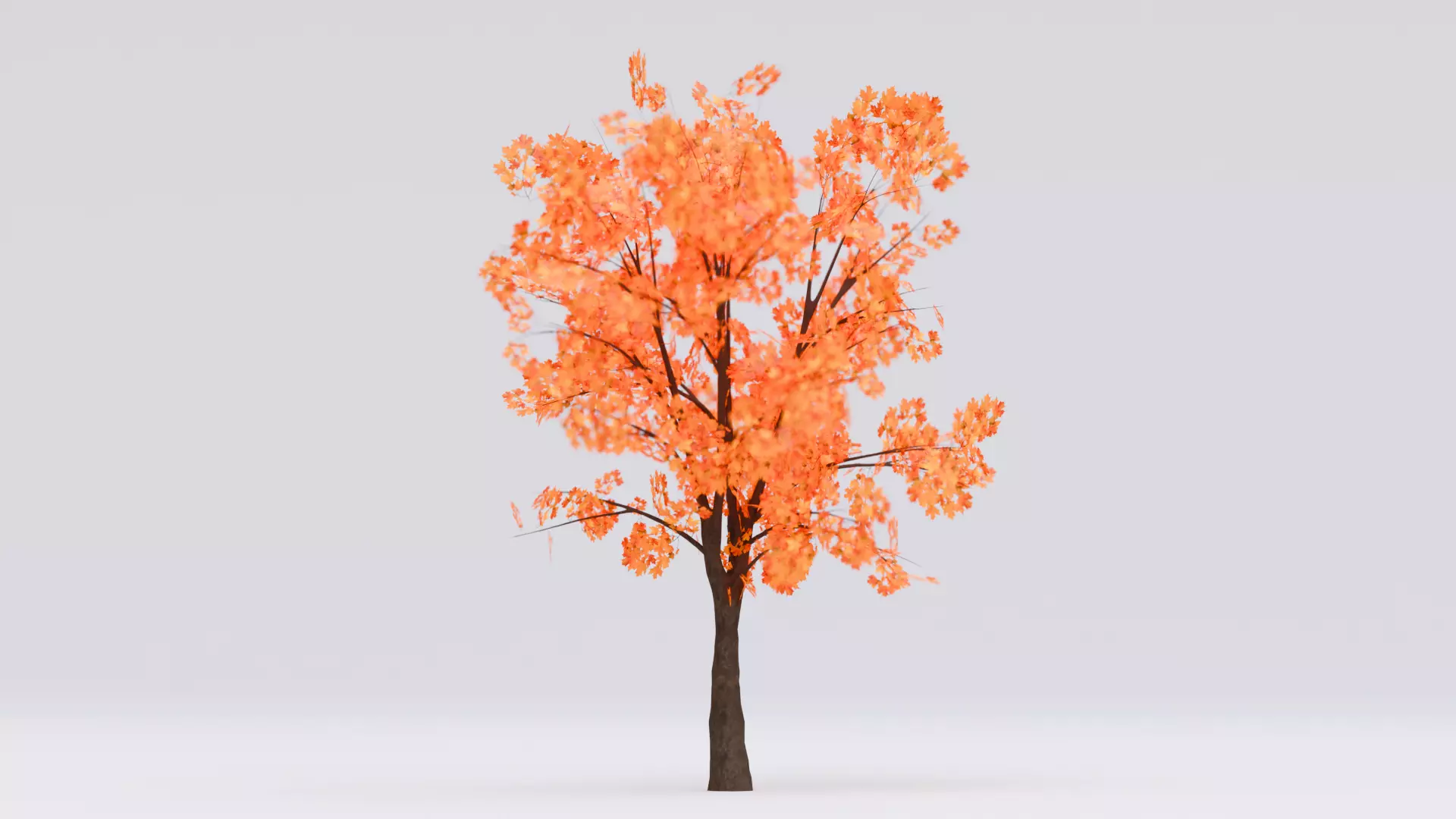 Autumn Tree 3D Model Low-poly 3D model_4