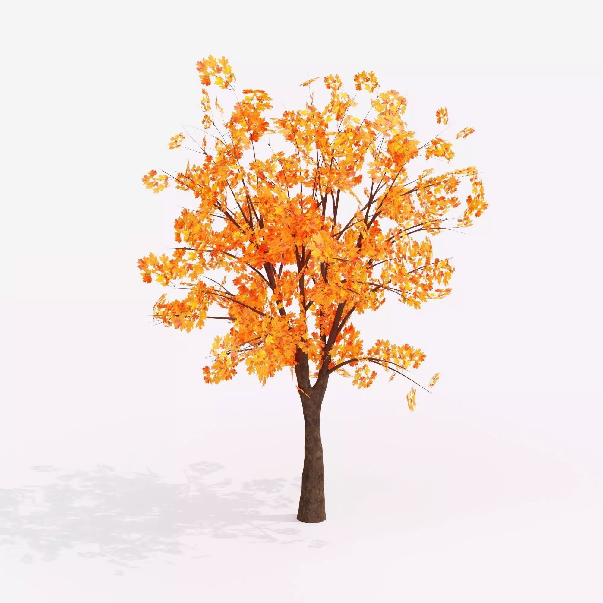 Autumn Tree 3D Model Low-poly 3D model_2