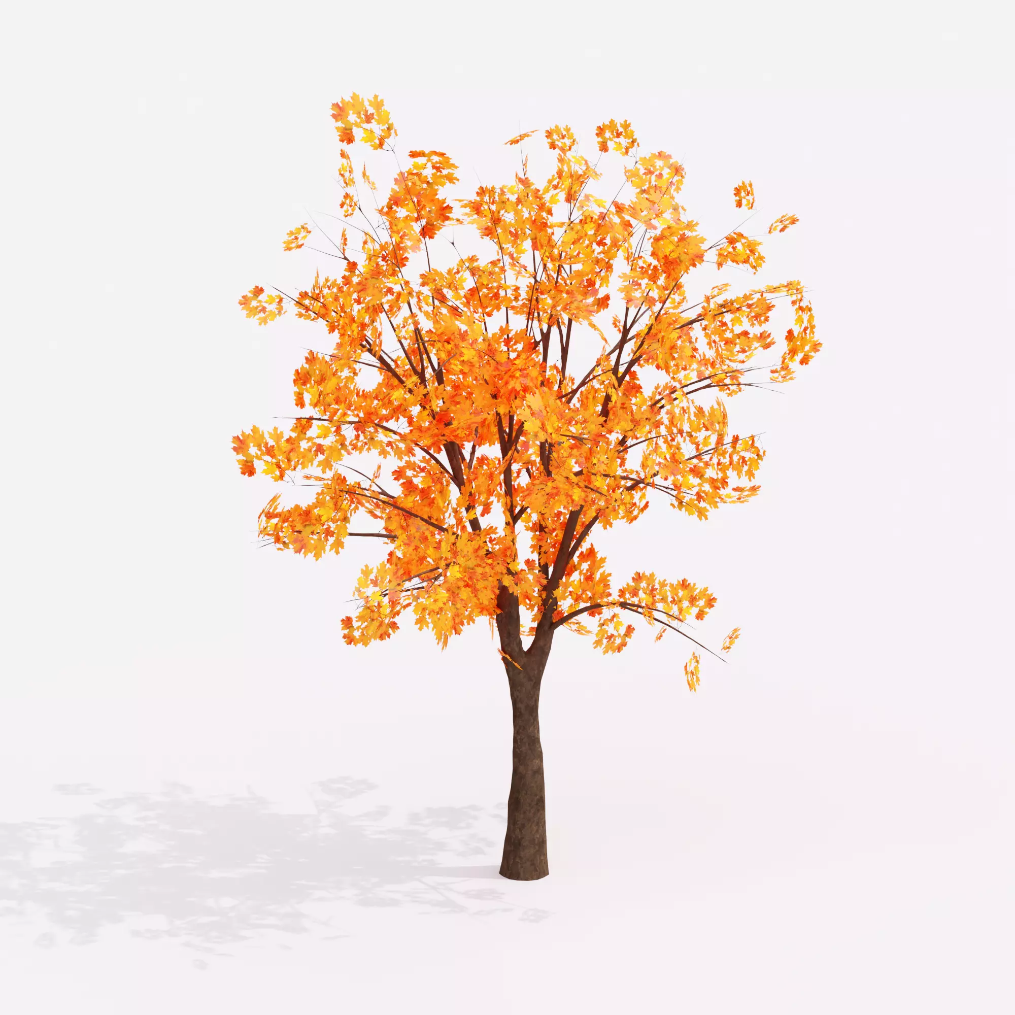 Autumn Tree 3D Model Low-poly 3D model_0