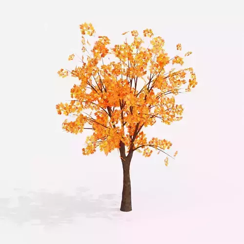 Autumn Tree 3D Model Low-poly 3D model