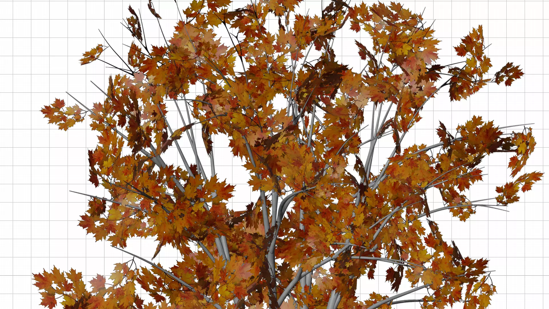 Autumn Tree 3D Model Low-poly 3D model_24