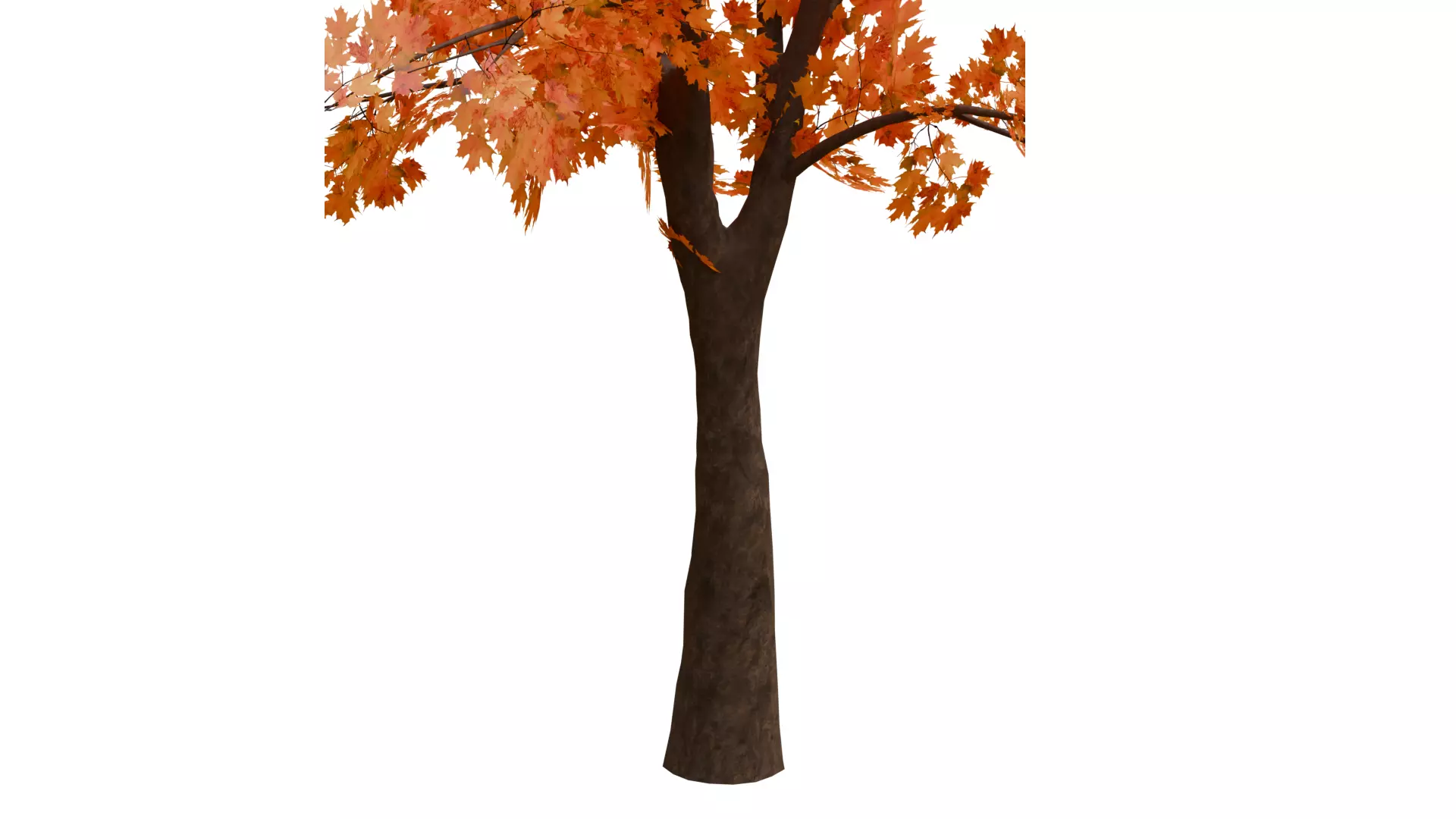 Autumn Tree 3D Model Low-poly 3D model_8