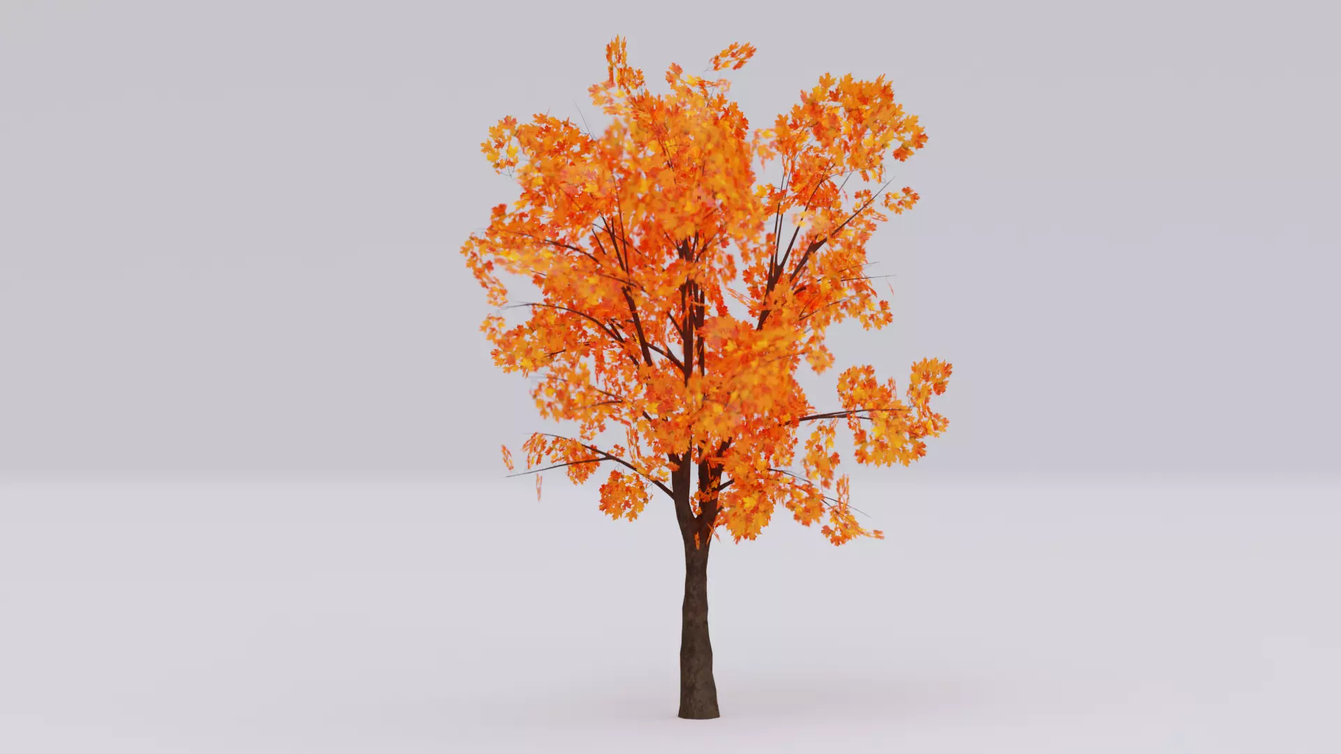 Autumn Tree 3D Model Low-poly 3D model_1