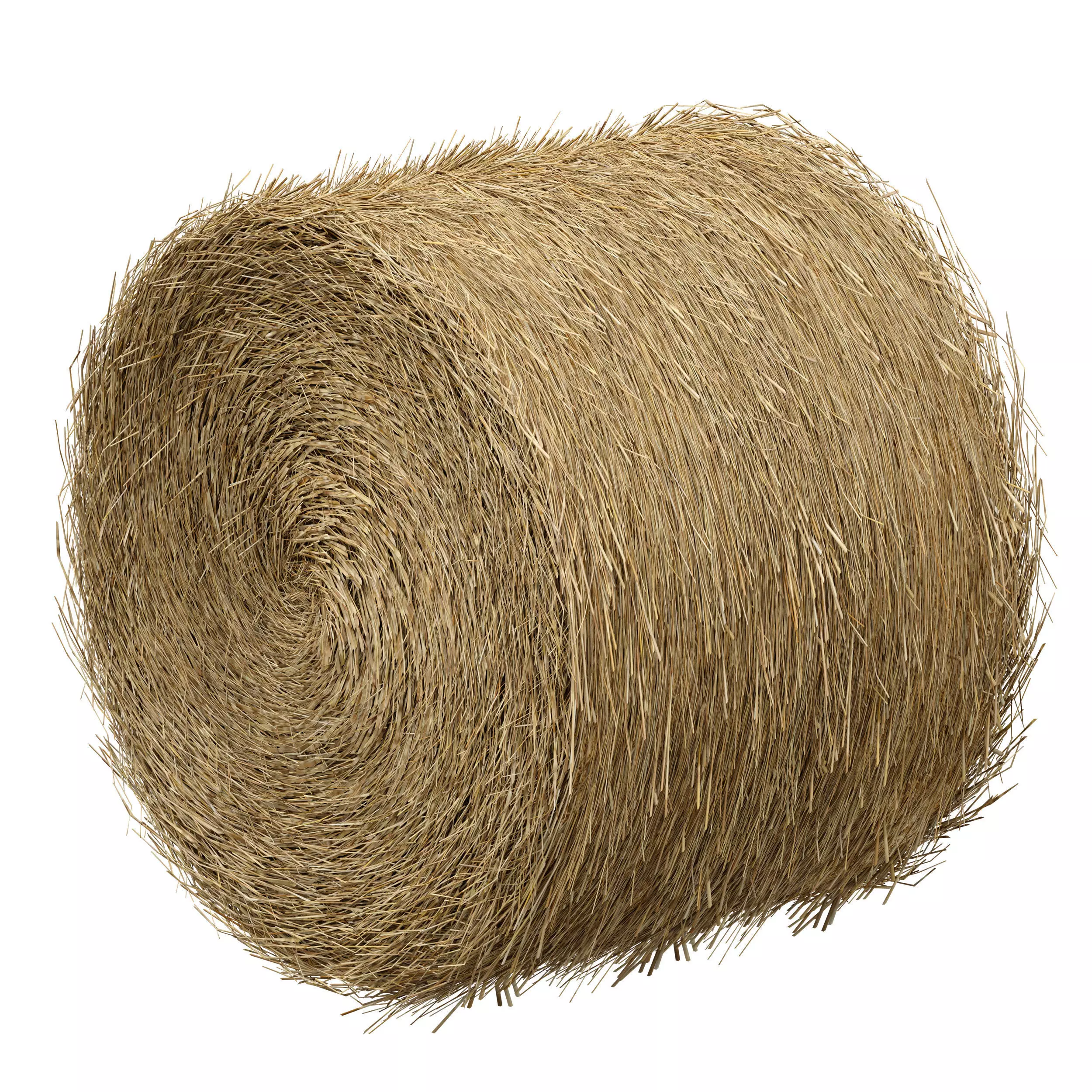 Hay in rolls Straw in rolls 3D model_7