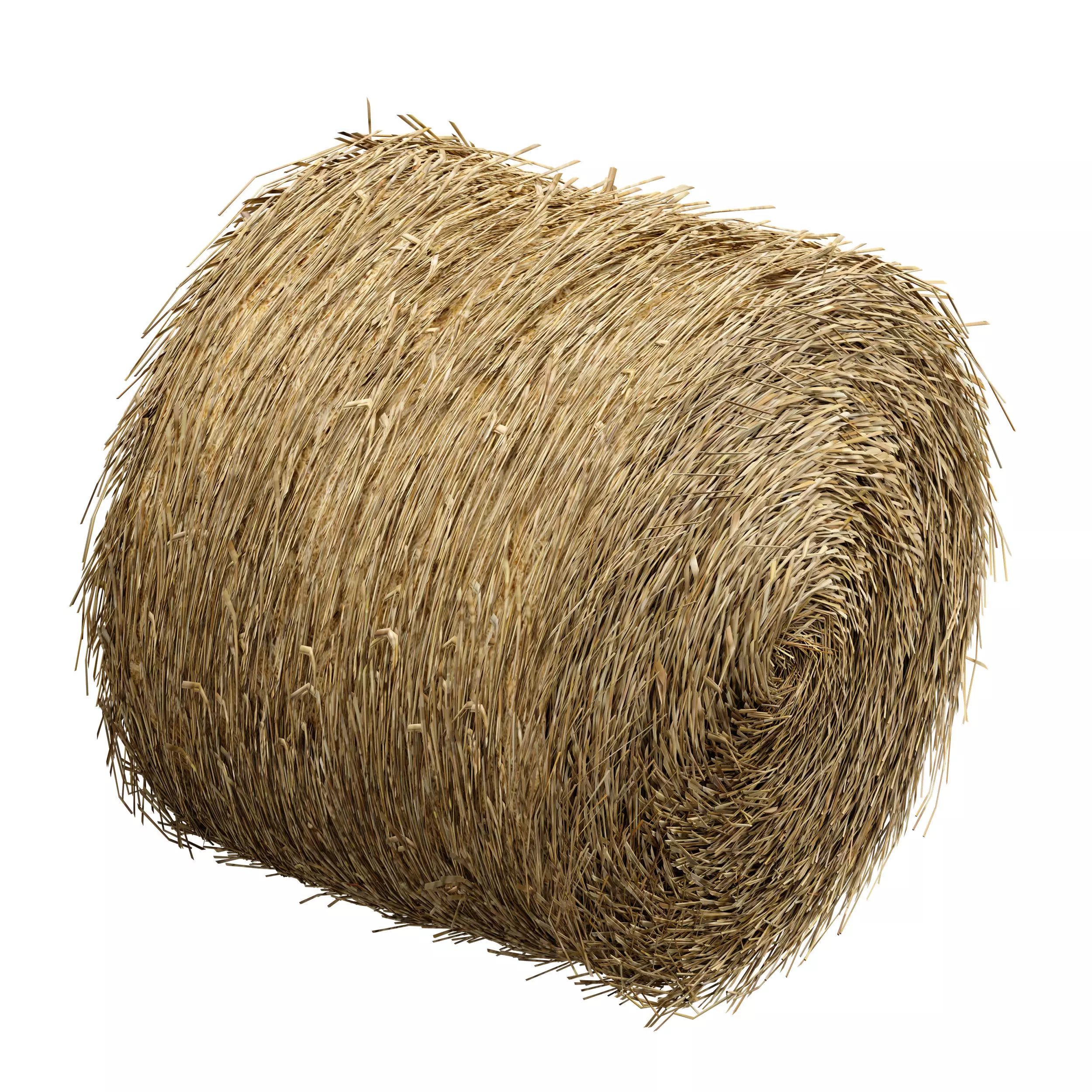 Hay in rolls Straw in rolls 3D model_5