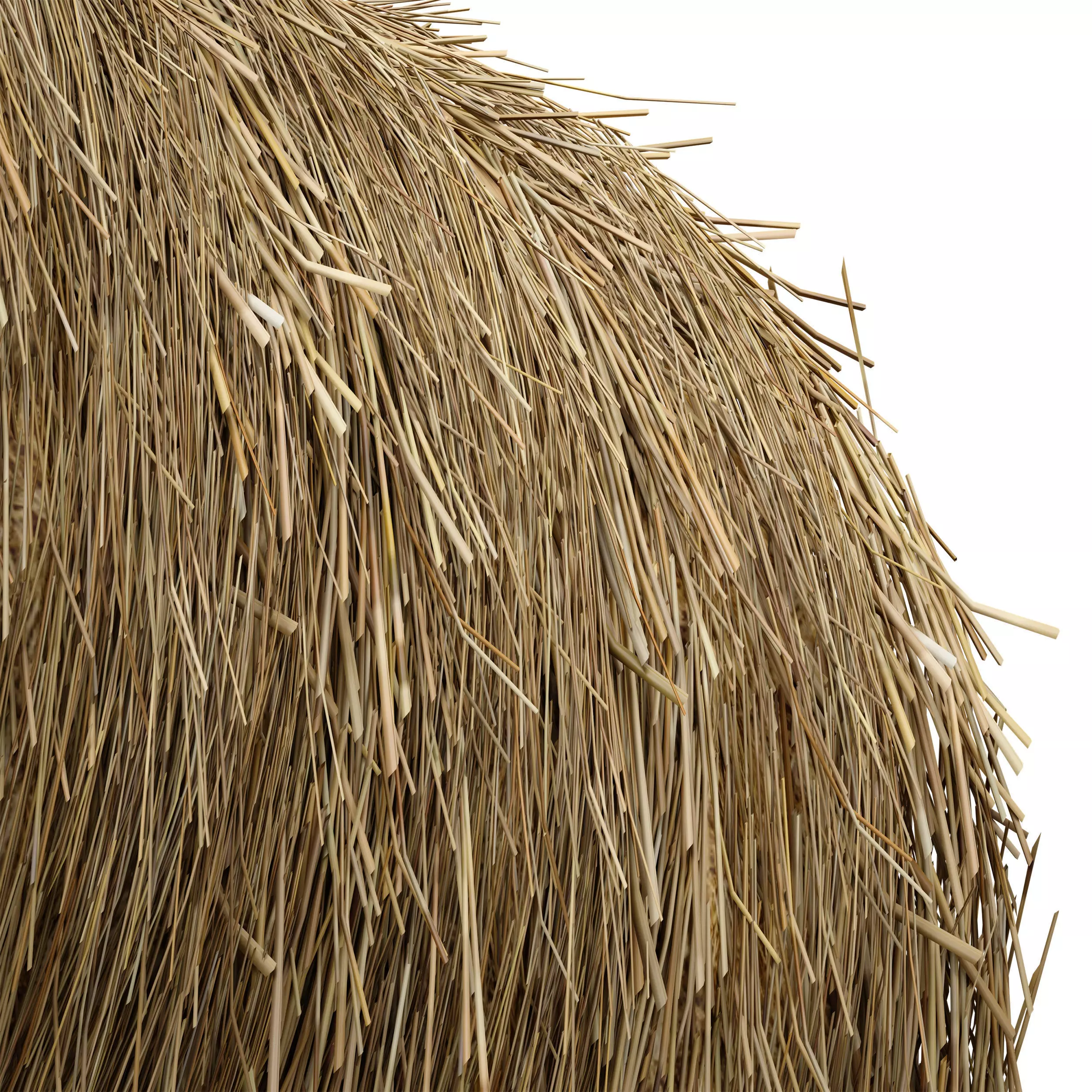 Hay in rolls Straw in rolls 3D model_10