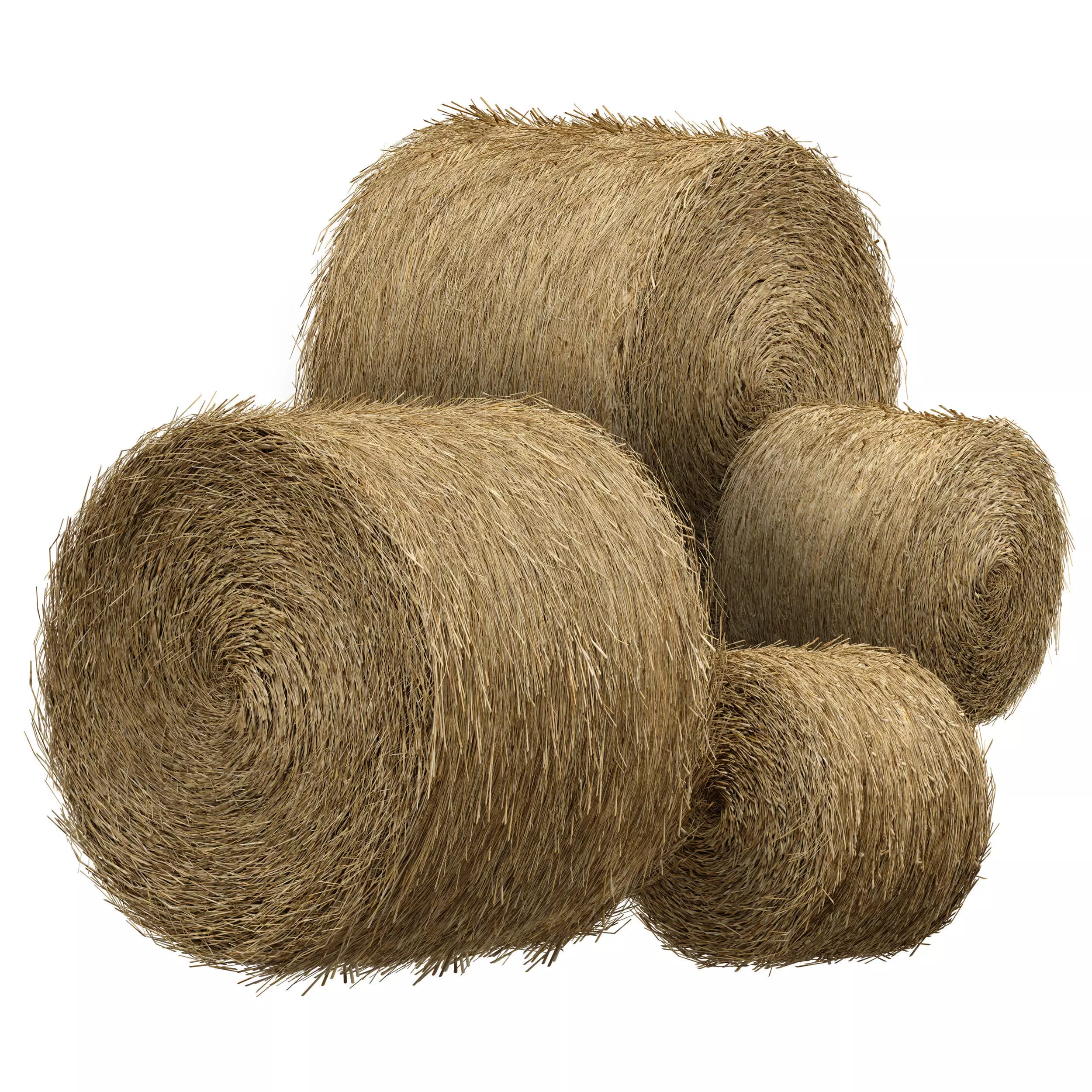 Hay in rolls Straw in rolls 3D model_0