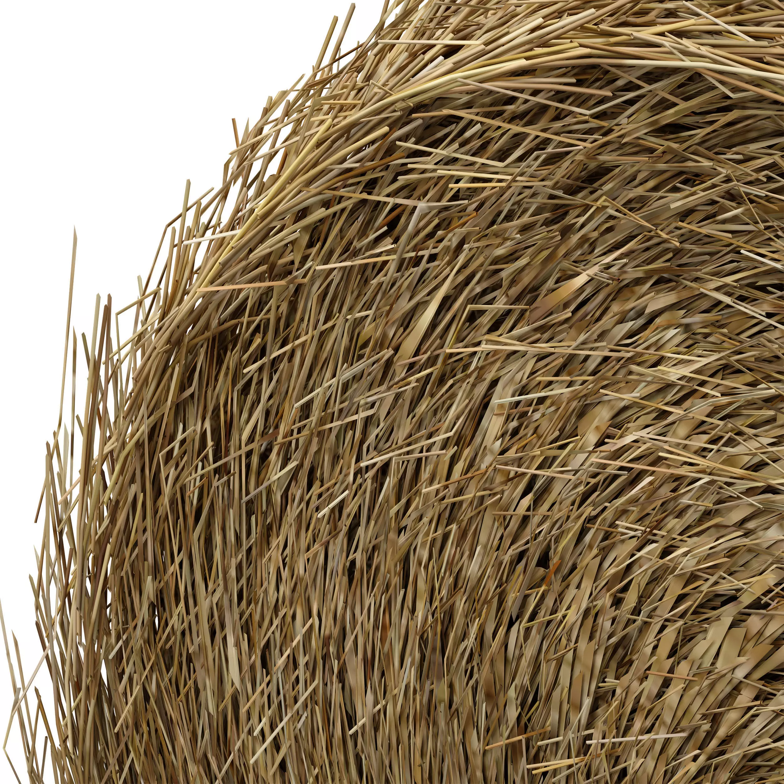 Hay in rolls Straw in rolls 3D model_8