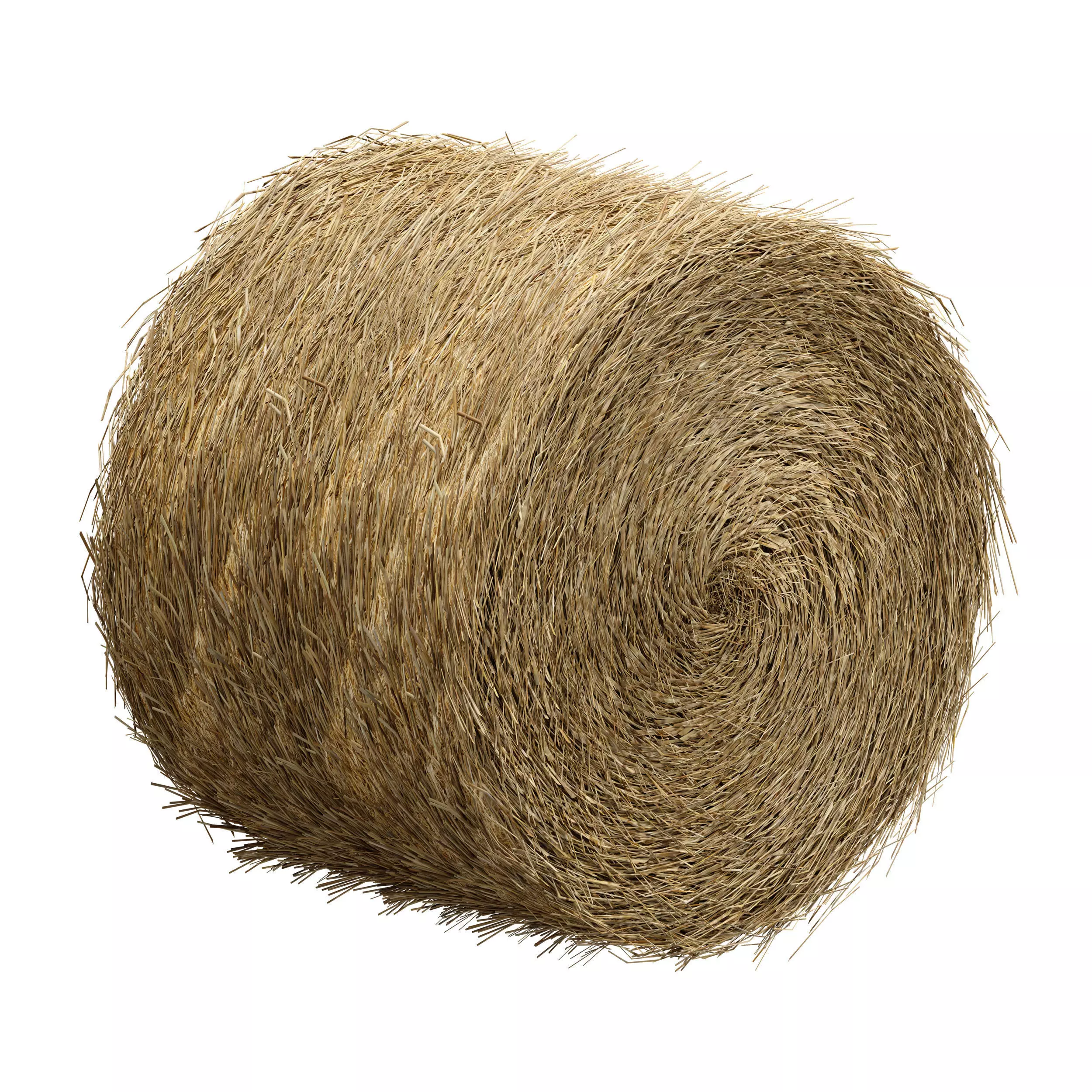 Hay in rolls Straw in rolls 3D model_4