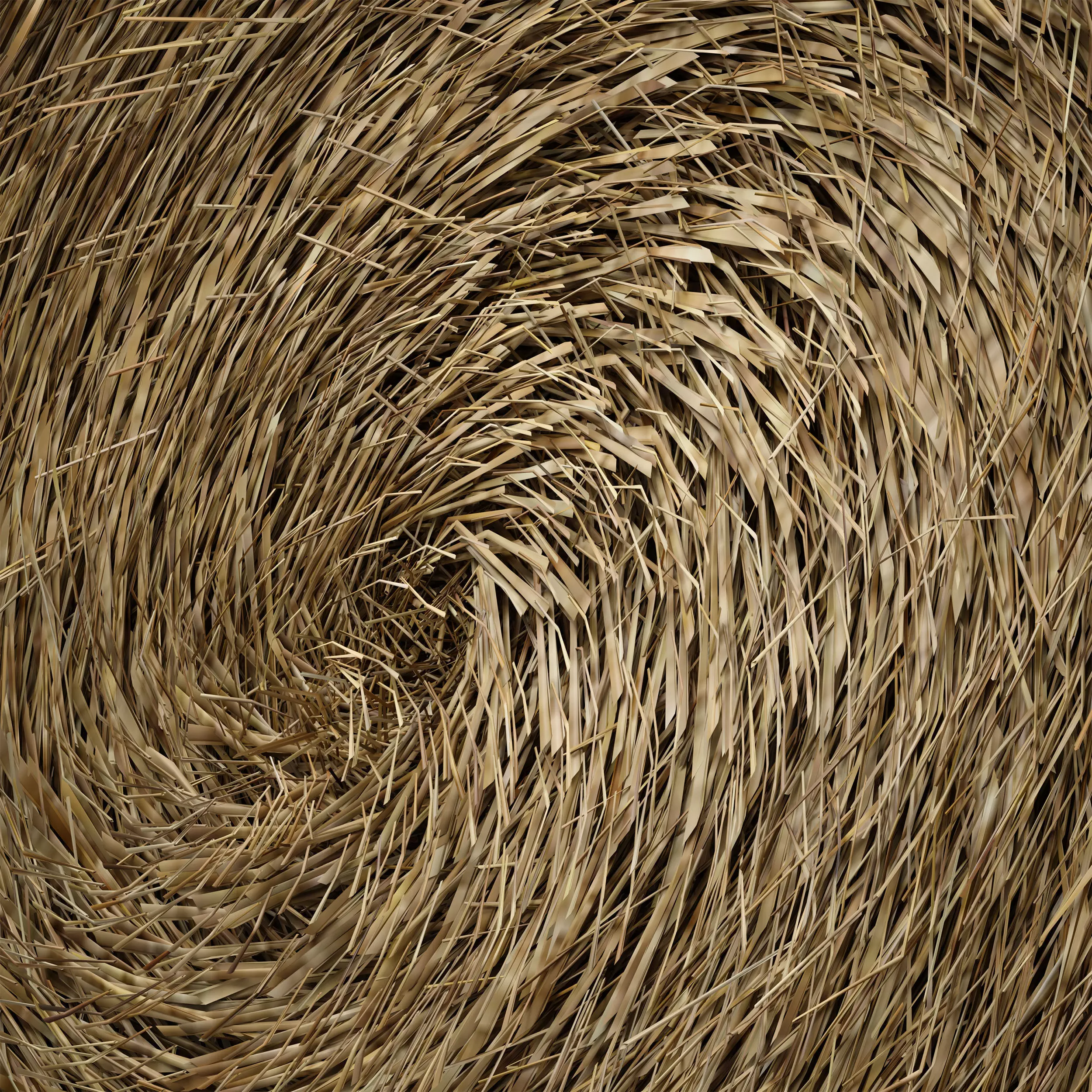 Hay in rolls Straw in rolls 3D model_9