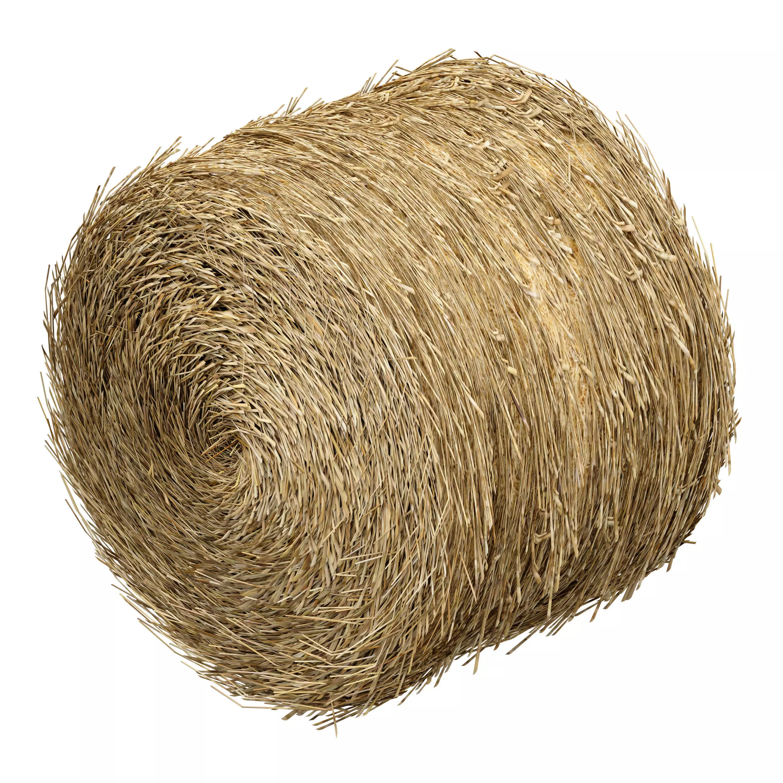 Hay in rolls Straw in rolls 3D model_6