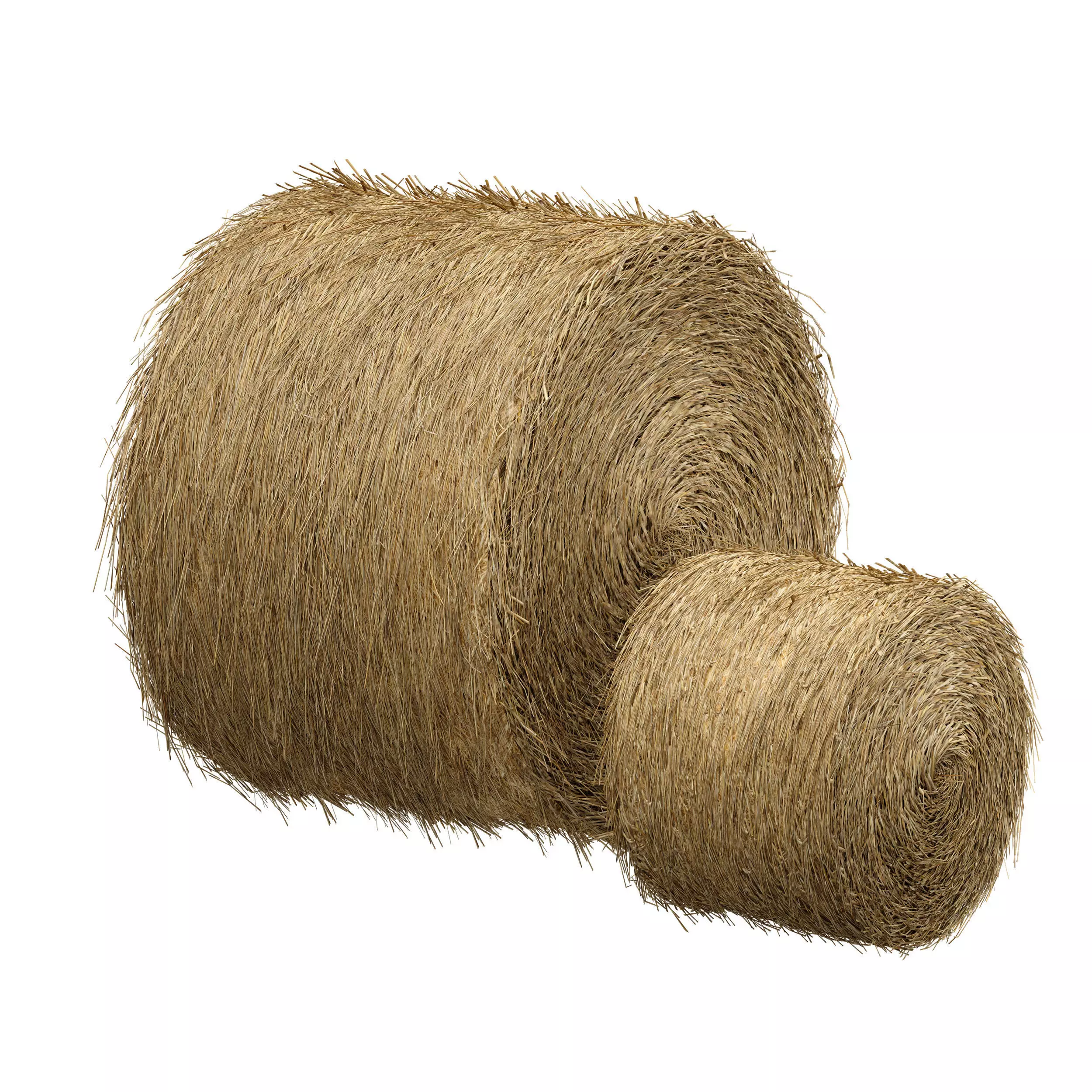 Hay in rolls Straw in rolls 3D model_3
