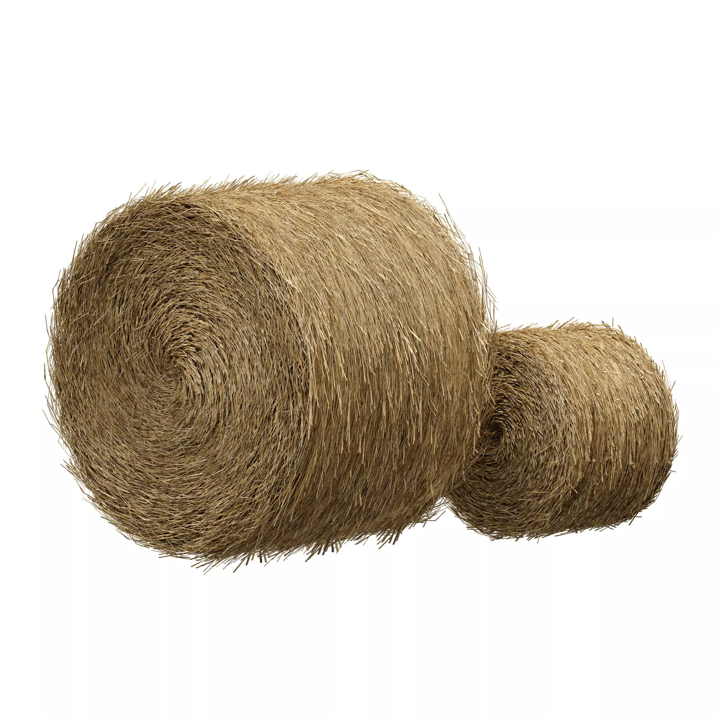Hay in rolls Straw in rolls 3D model_1