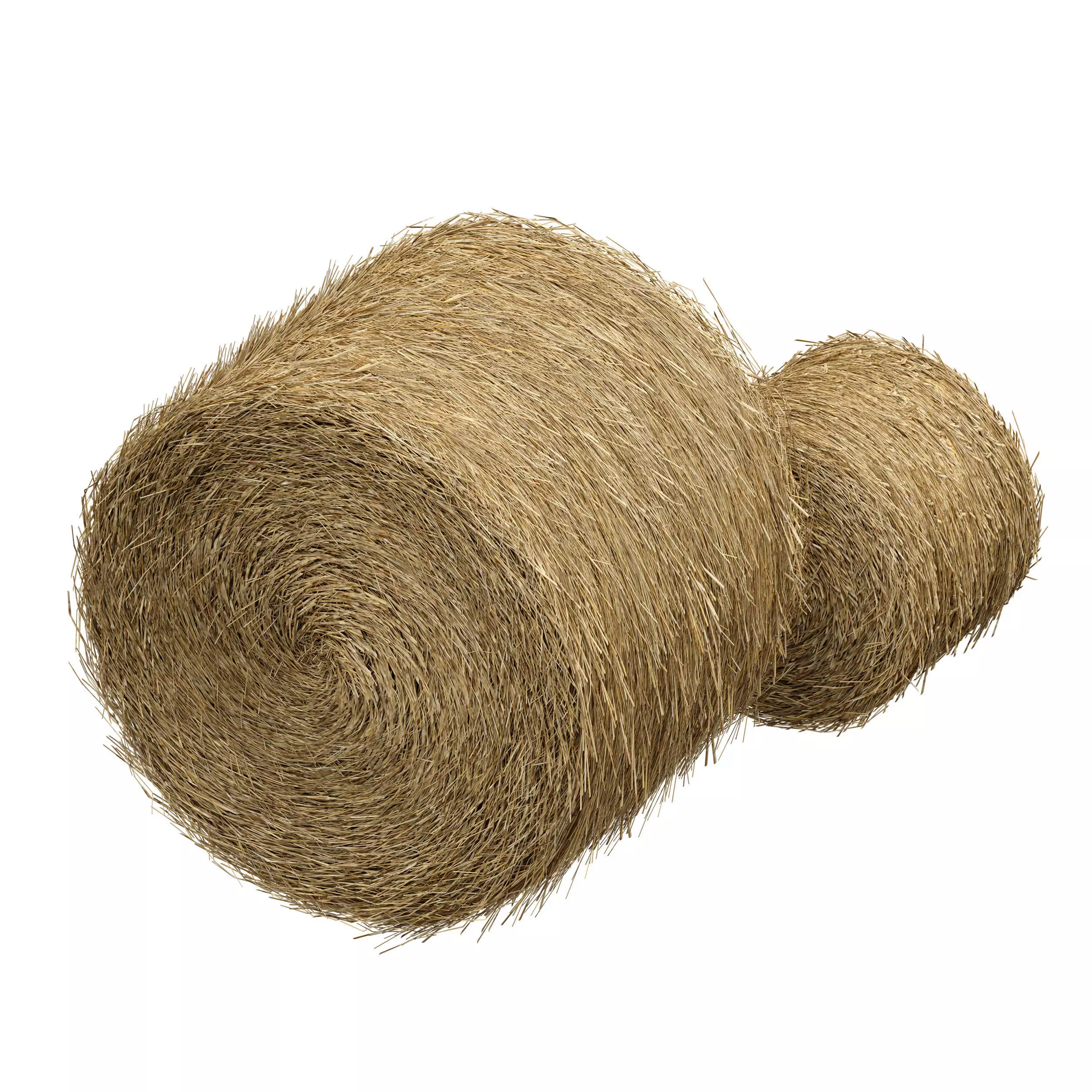 Hay in rolls Straw in rolls 3D model_2