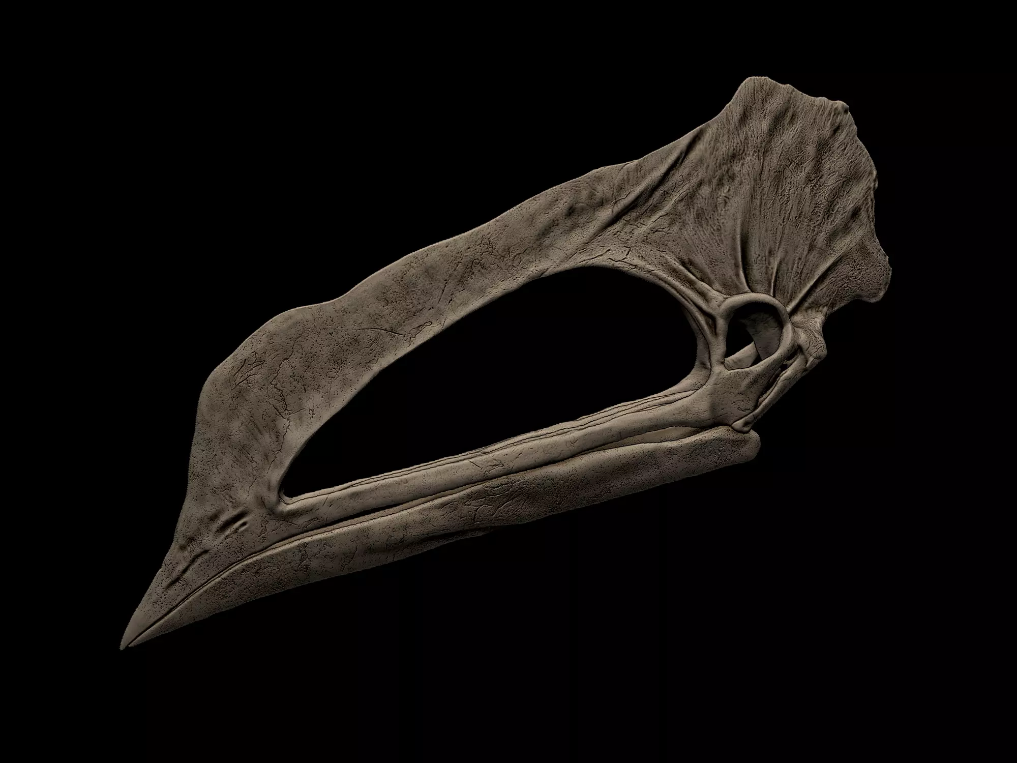 Caupedactylus Skull 3D print model_0