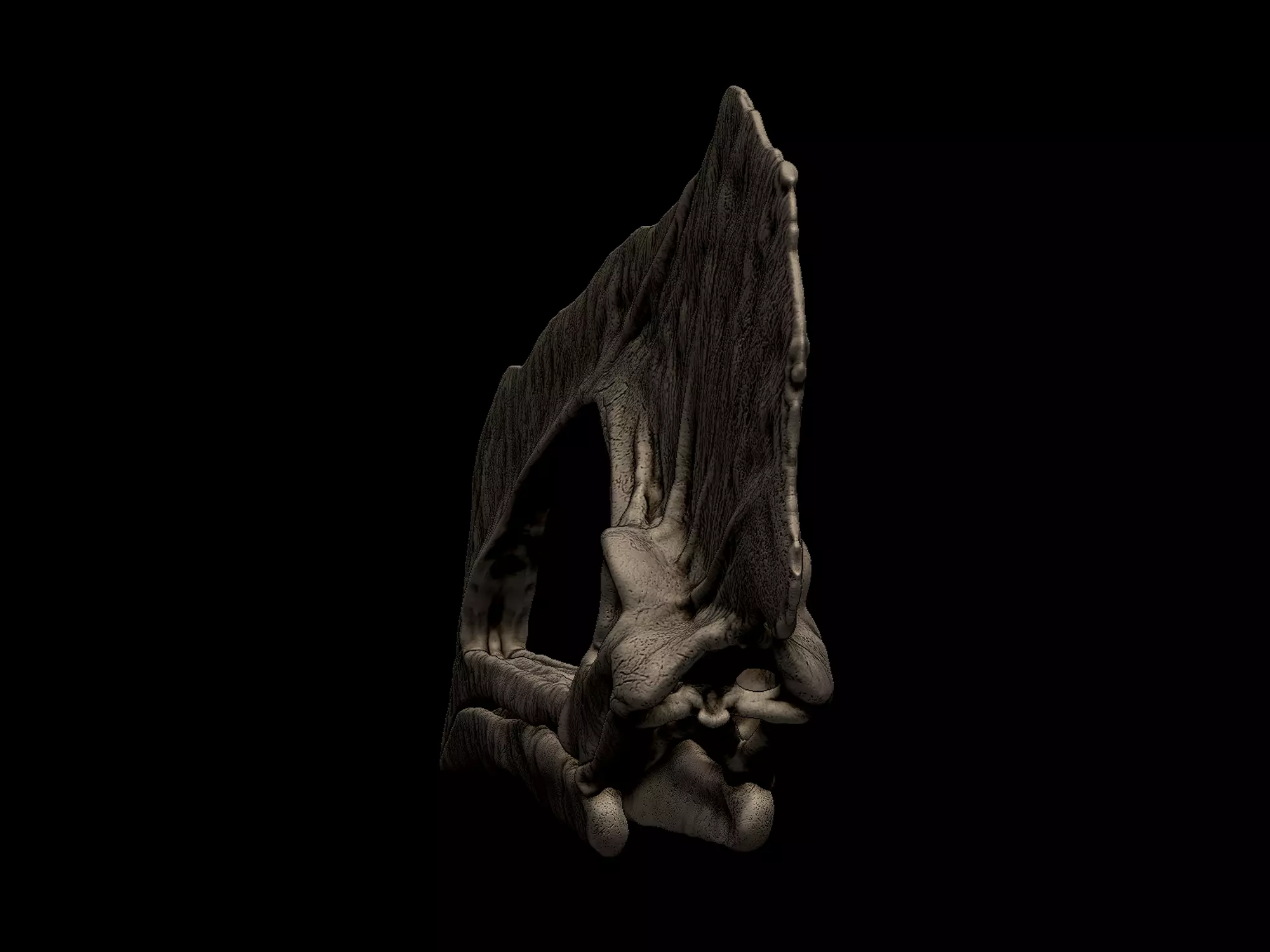 Caupedactylus Skull 3D print model_5