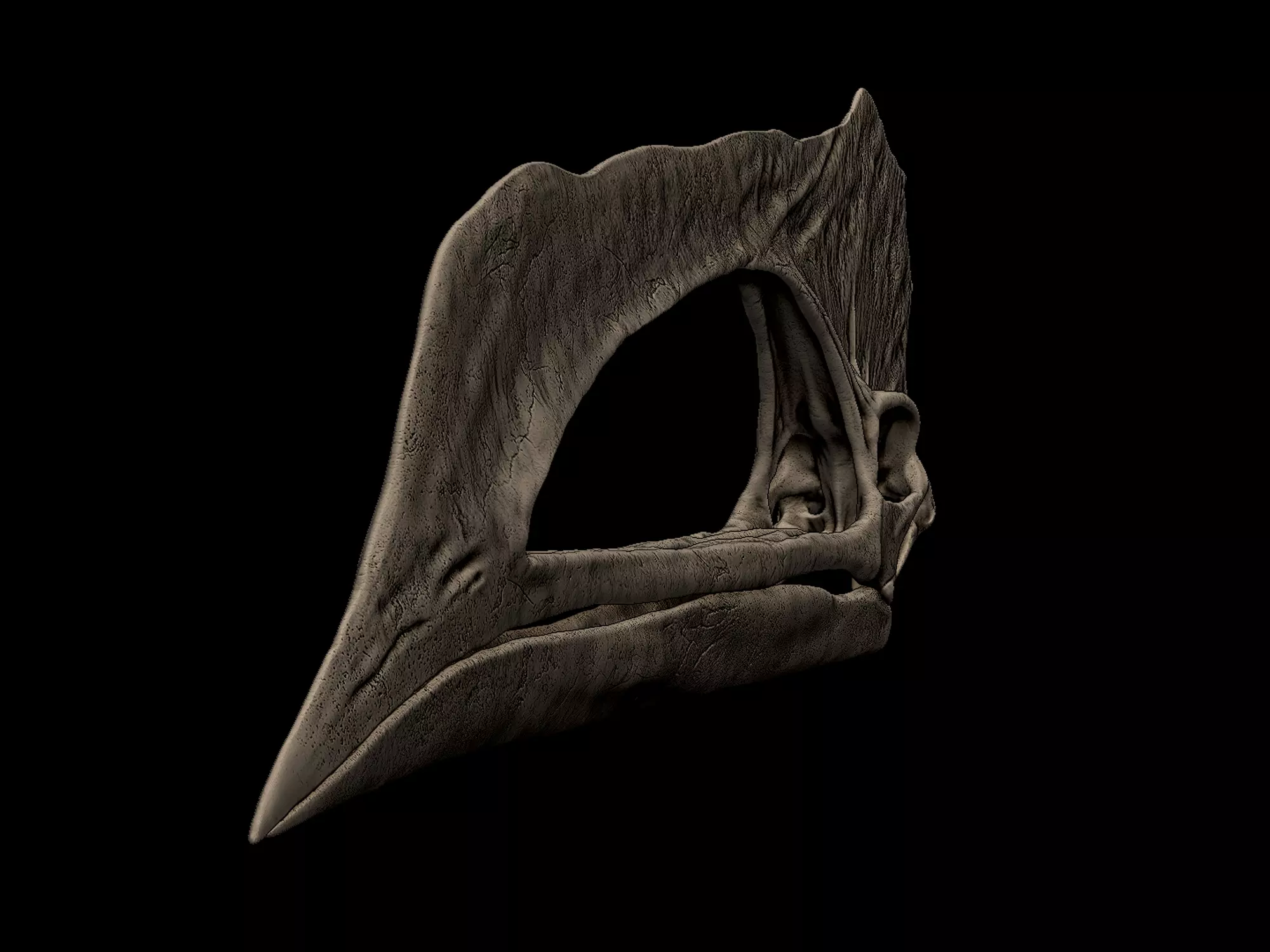 Caupedactylus Skull 3D print model_2