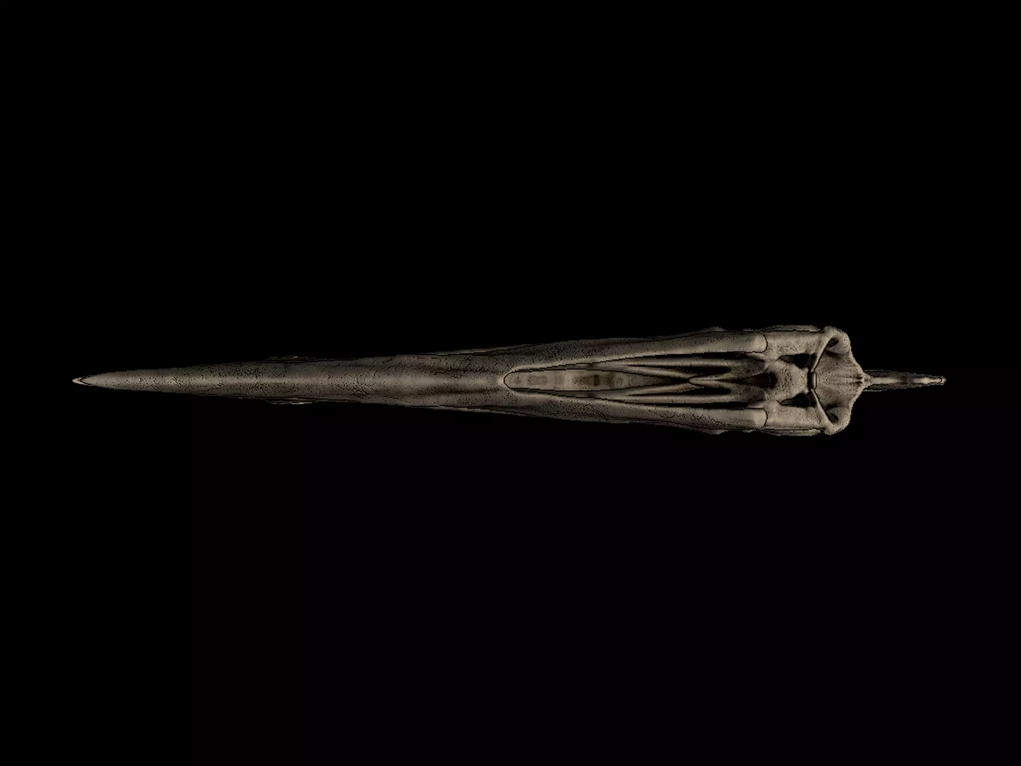 Caupedactylus Skull 3D print model_4