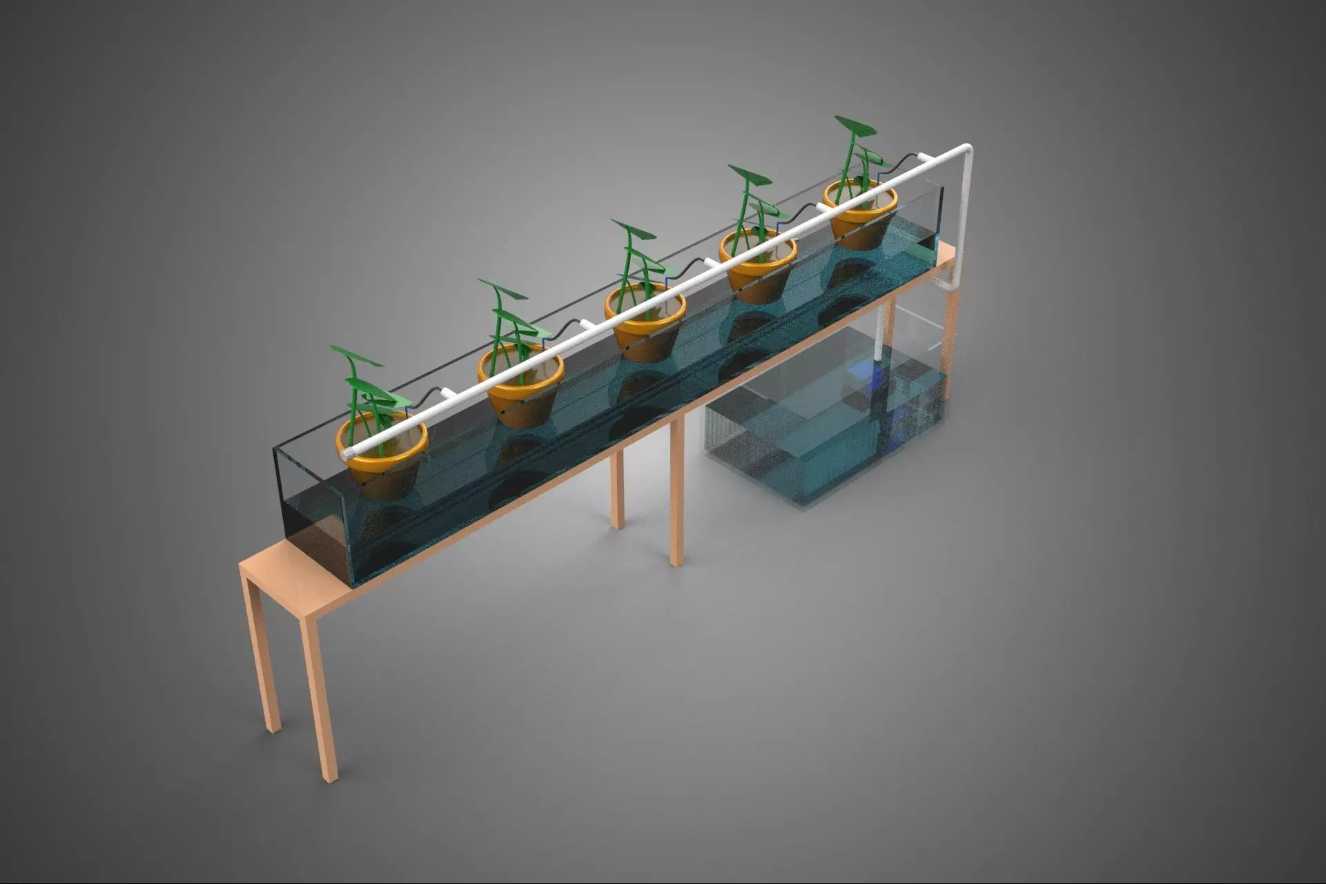 HYDROPONIC GROWTH PLANT FARMING DRIP IRRIGATION SYSTEM GARDENING 3D model_3