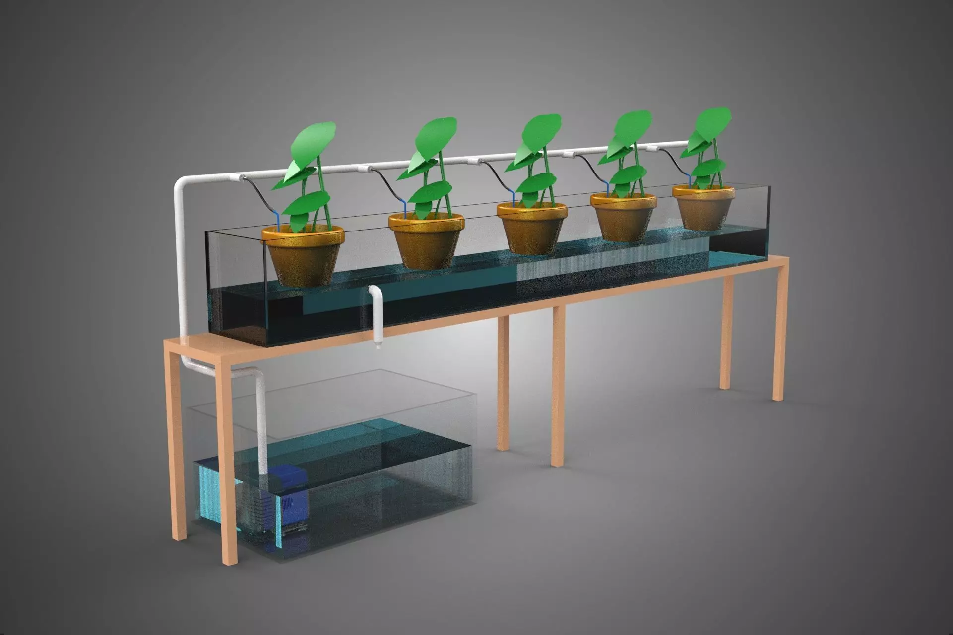 HYDROPONIC GROWTH PLANT FARMING DRIP IRRIGATION SYSTEM GARDENING 3D model_0