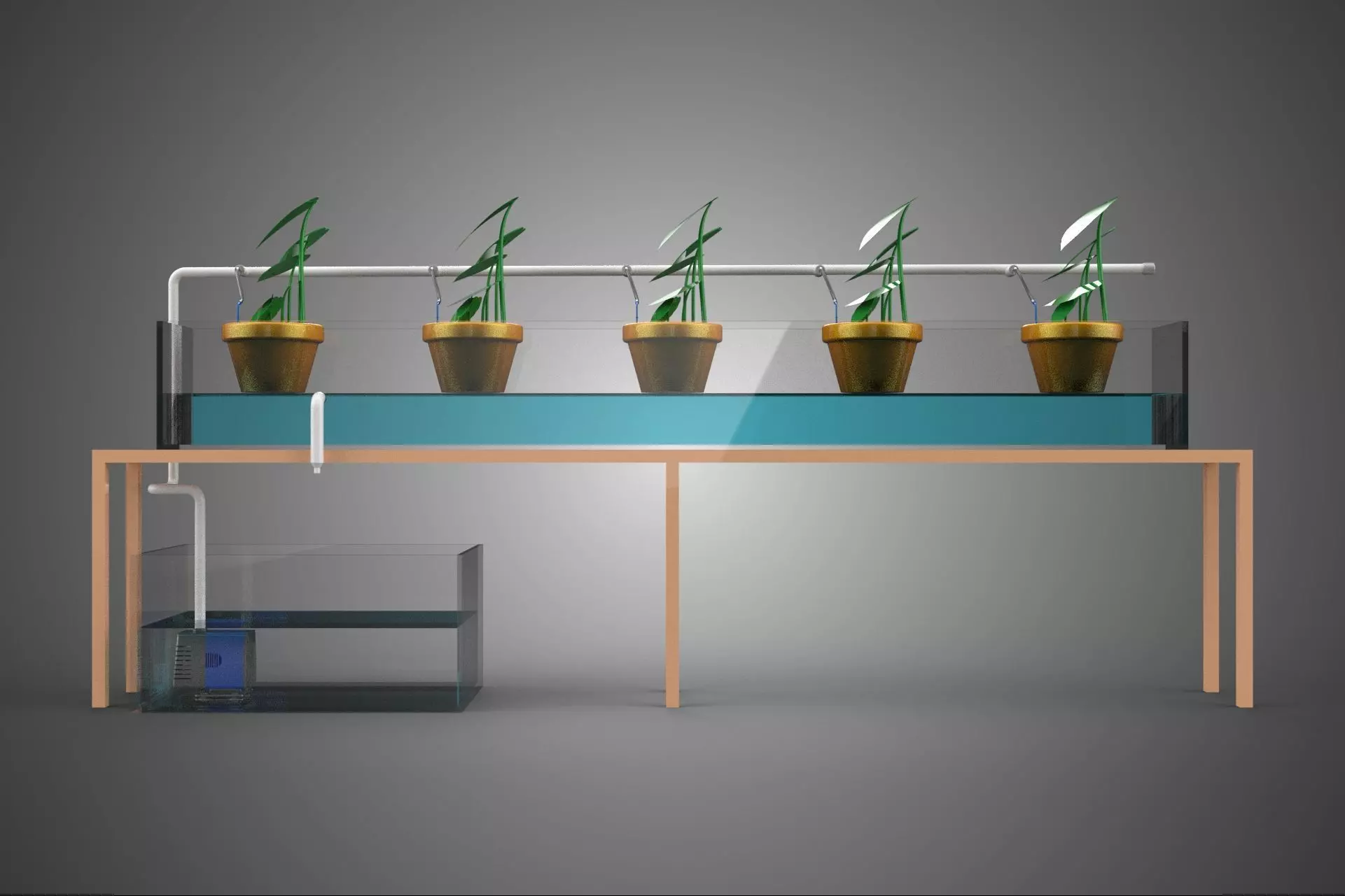 HYDROPONIC GROWTH PLANT FARMING DRIP IRRIGATION SYSTEM GARDENING 3D model_31