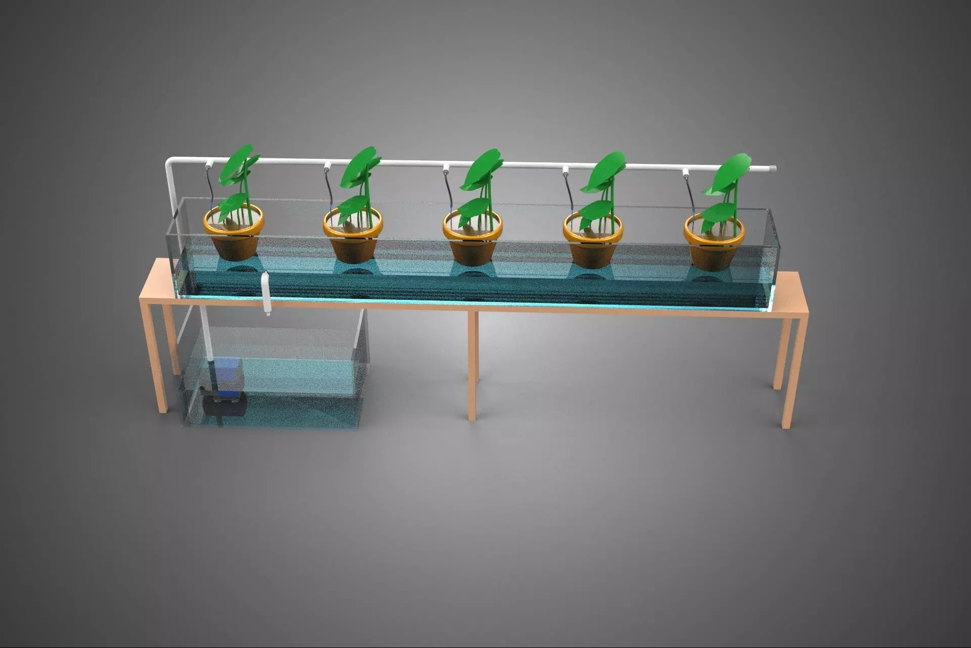 HYDROPONIC GROWTH PLANT FARMING DRIP IRRIGATION SYSTEM GARDENING 3D model_8