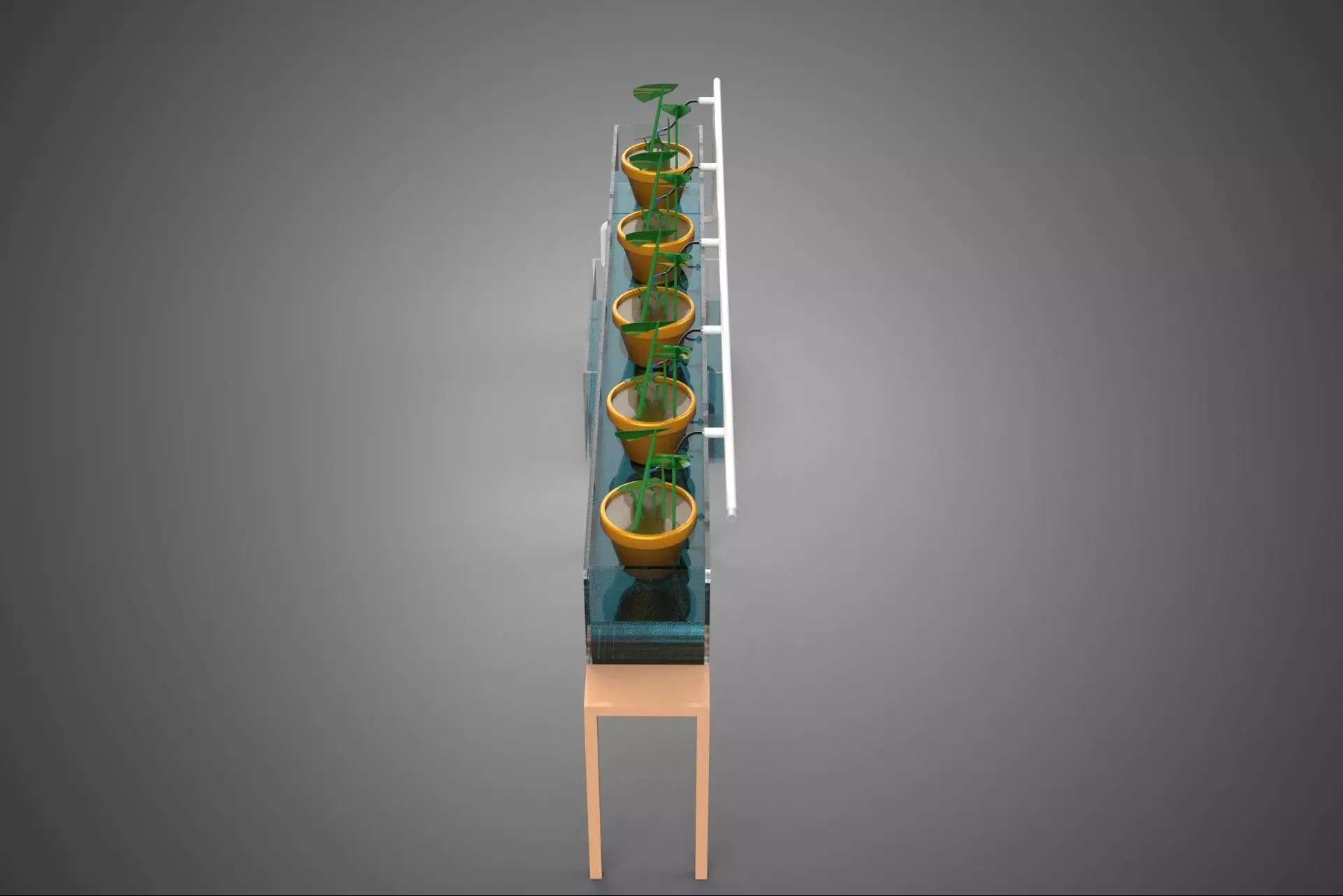 HYDROPONIC GROWTH PLANT FARMING DRIP IRRIGATION SYSTEM GARDENING 3D model_2