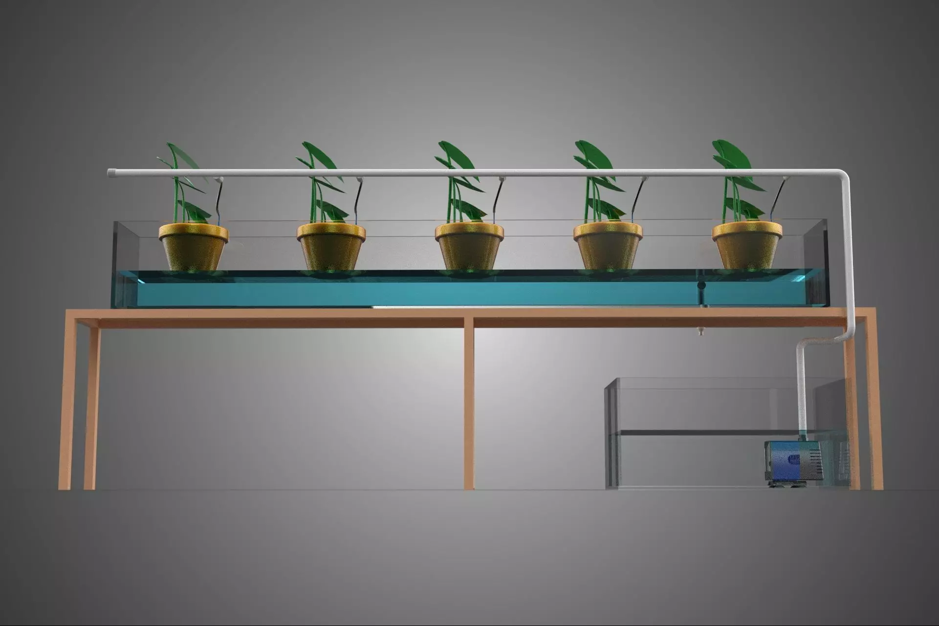 HYDROPONIC GROWTH PLANT FARMING DRIP IRRIGATION SYSTEM GARDENING 3D model_19