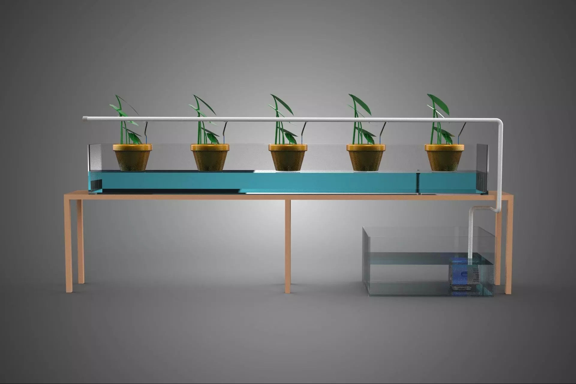 HYDROPONIC GROWTH PLANT FARMING DRIP IRRIGATION SYSTEM GARDENING 3D model_11