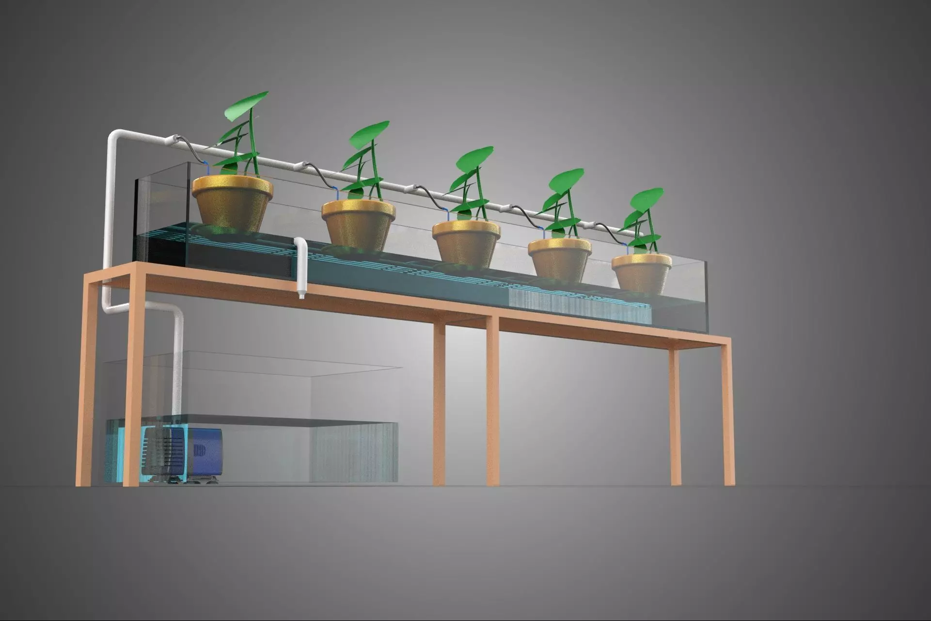 HYDROPONIC GROWTH PLANT FARMING DRIP IRRIGATION SYSTEM GARDENING 3D model_22