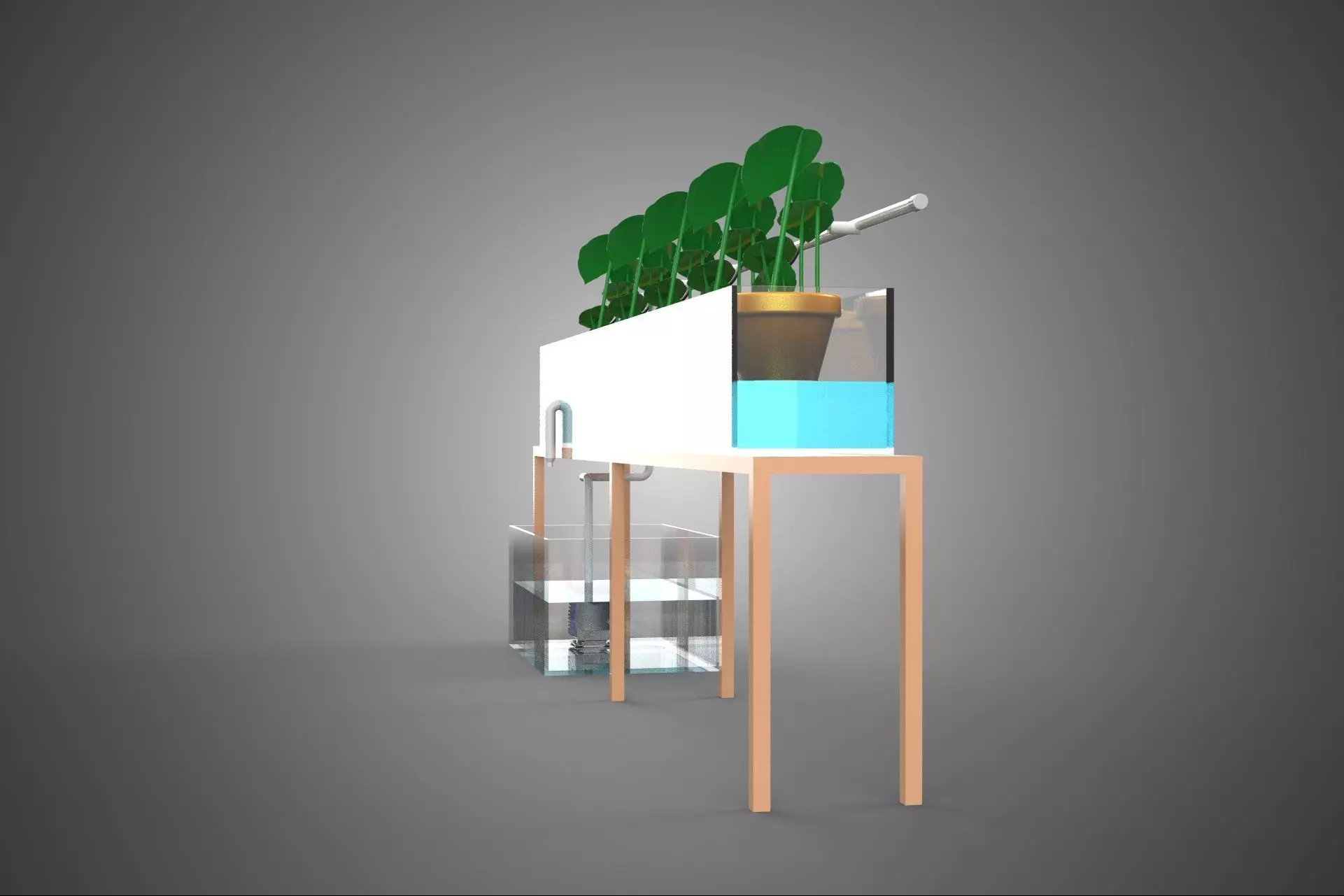 HYDROPONIC GROWTH PLANT FARMING DRIP IRRIGATION SYSTEM GARDENING 3D model_34