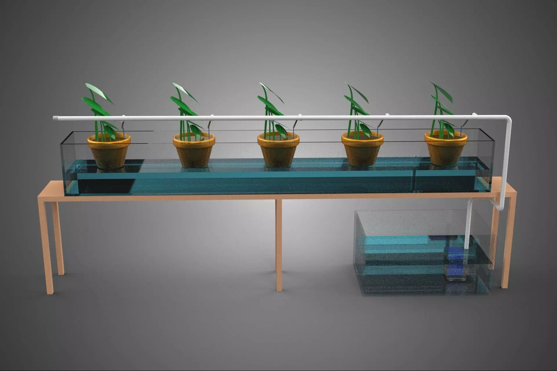 HYDROPONIC GROWTH PLANT FARMING DRIP IRRIGATION SYSTEM GARDENING 3D model_30
