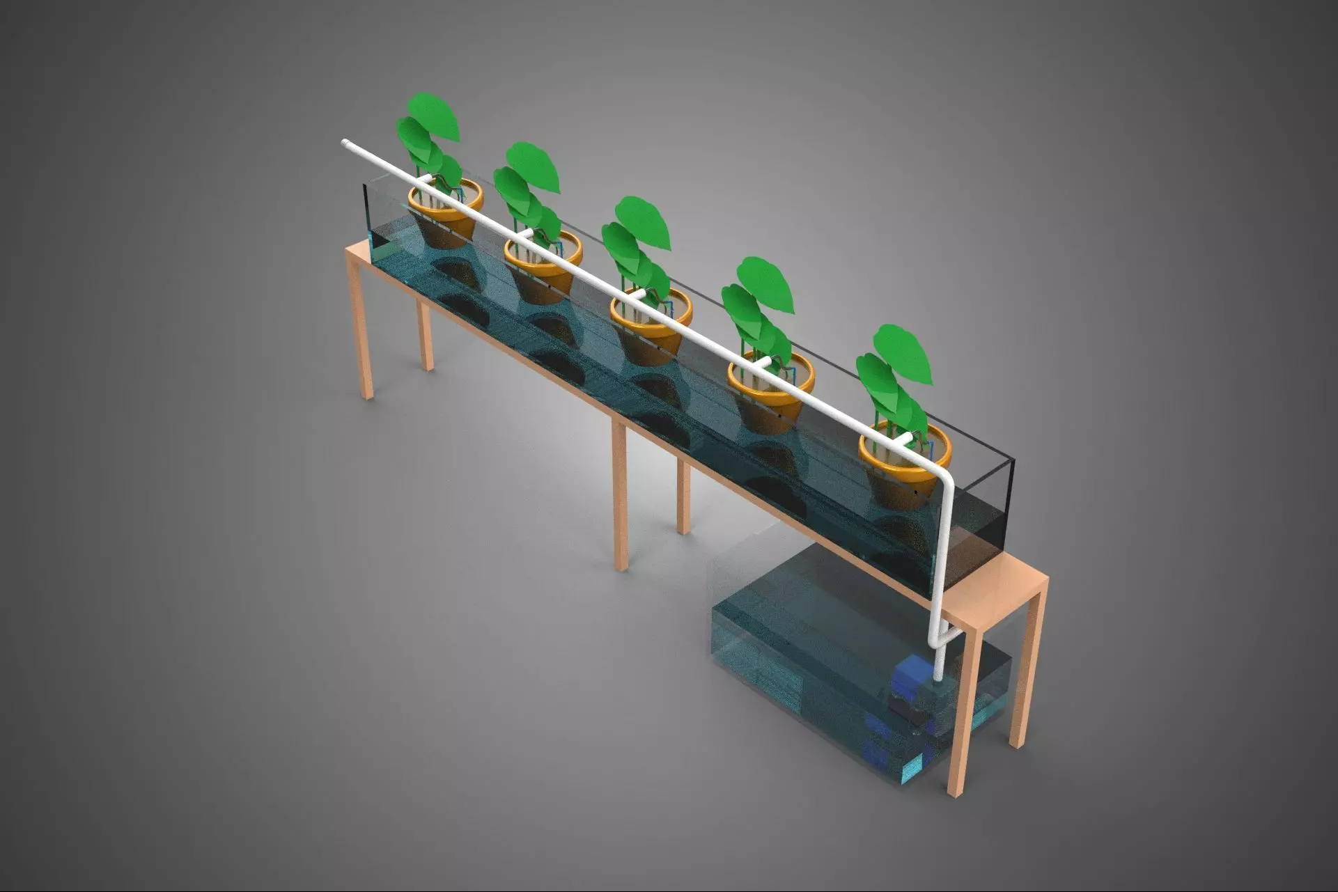 HYDROPONIC GROWTH PLANT FARMING DRIP IRRIGATION SYSTEM GARDENING 3D model_5