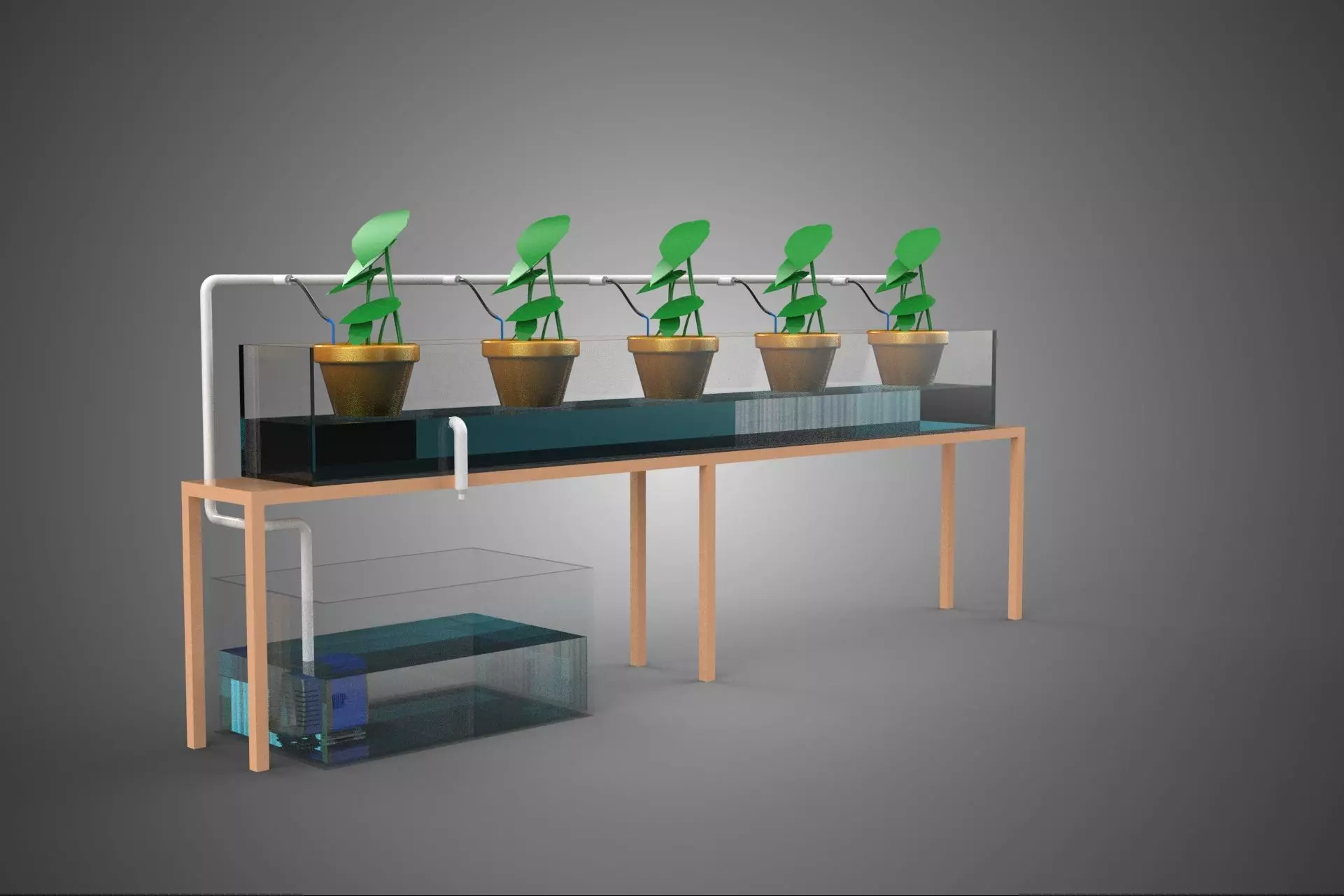 HYDROPONIC GROWTH PLANT FARMING DRIP IRRIGATION SYSTEM GARDENING 3D model_14