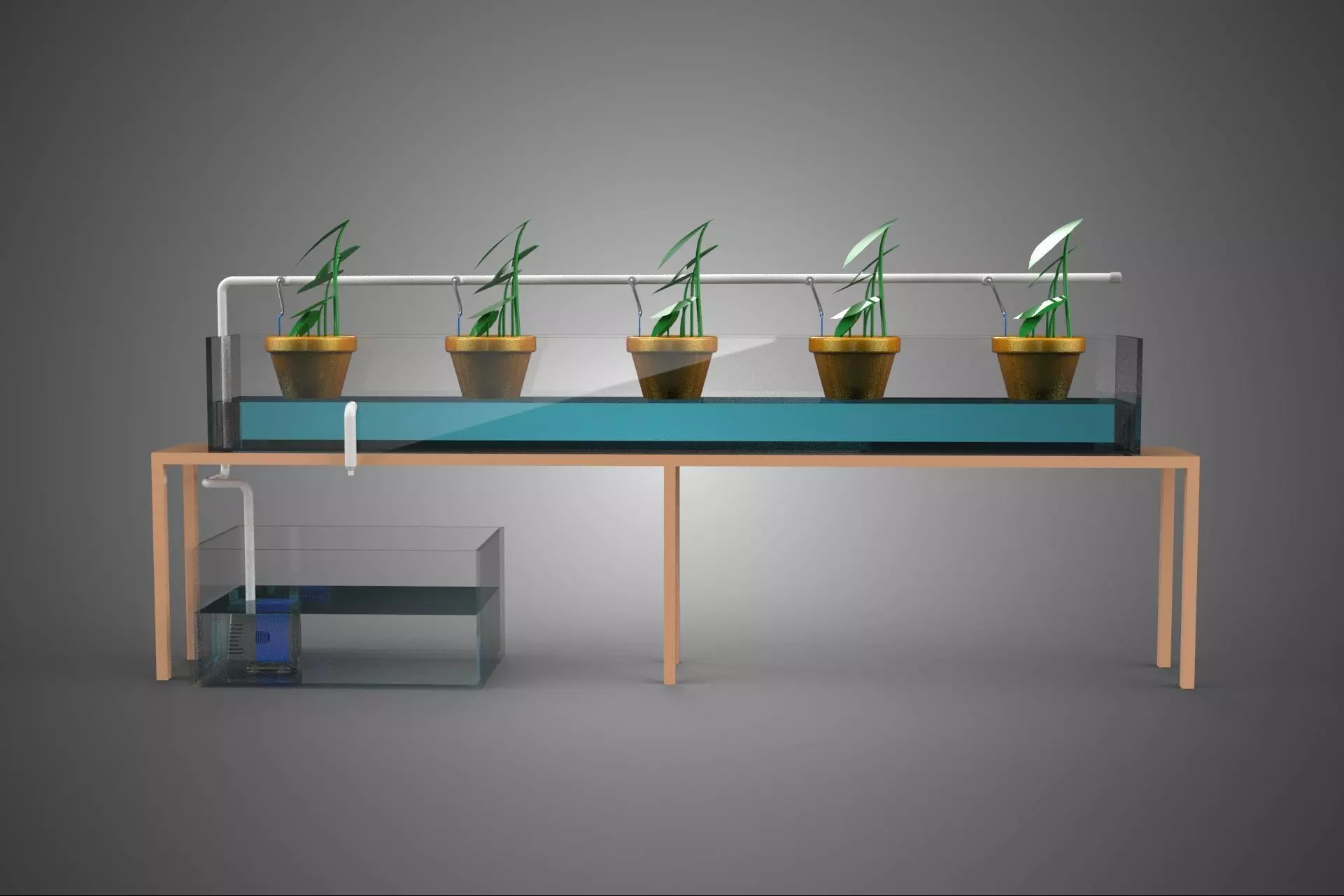 HYDROPONIC GROWTH PLANT FARMING DRIP IRRIGATION SYSTEM GARDENING 3D model_15