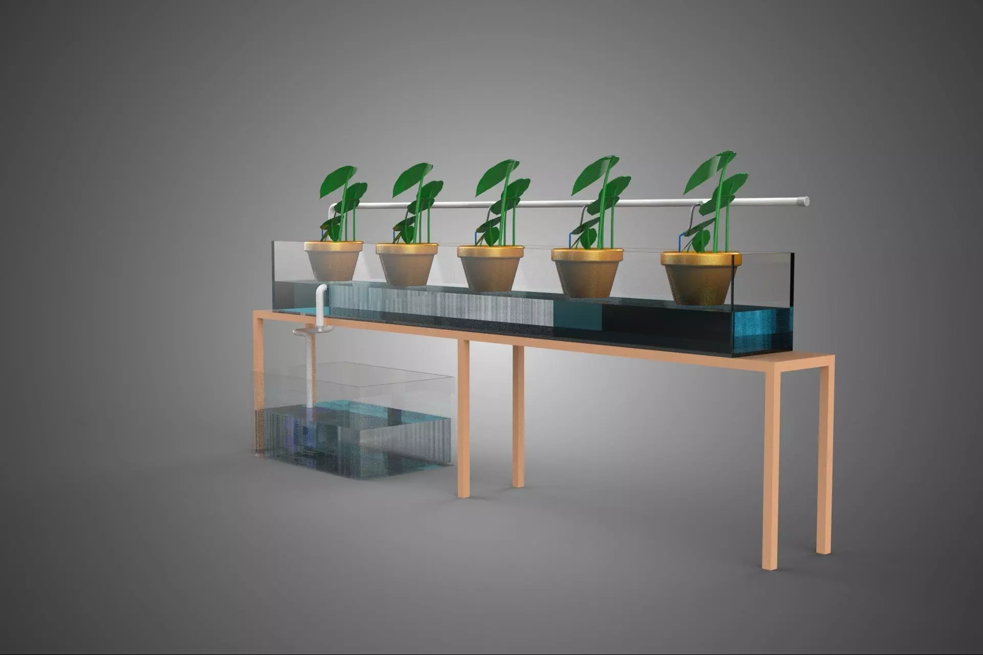 HYDROPONIC GROWTH PLANT FARMING DRIP IRRIGATION SYSTEM GARDENING 3D model_16