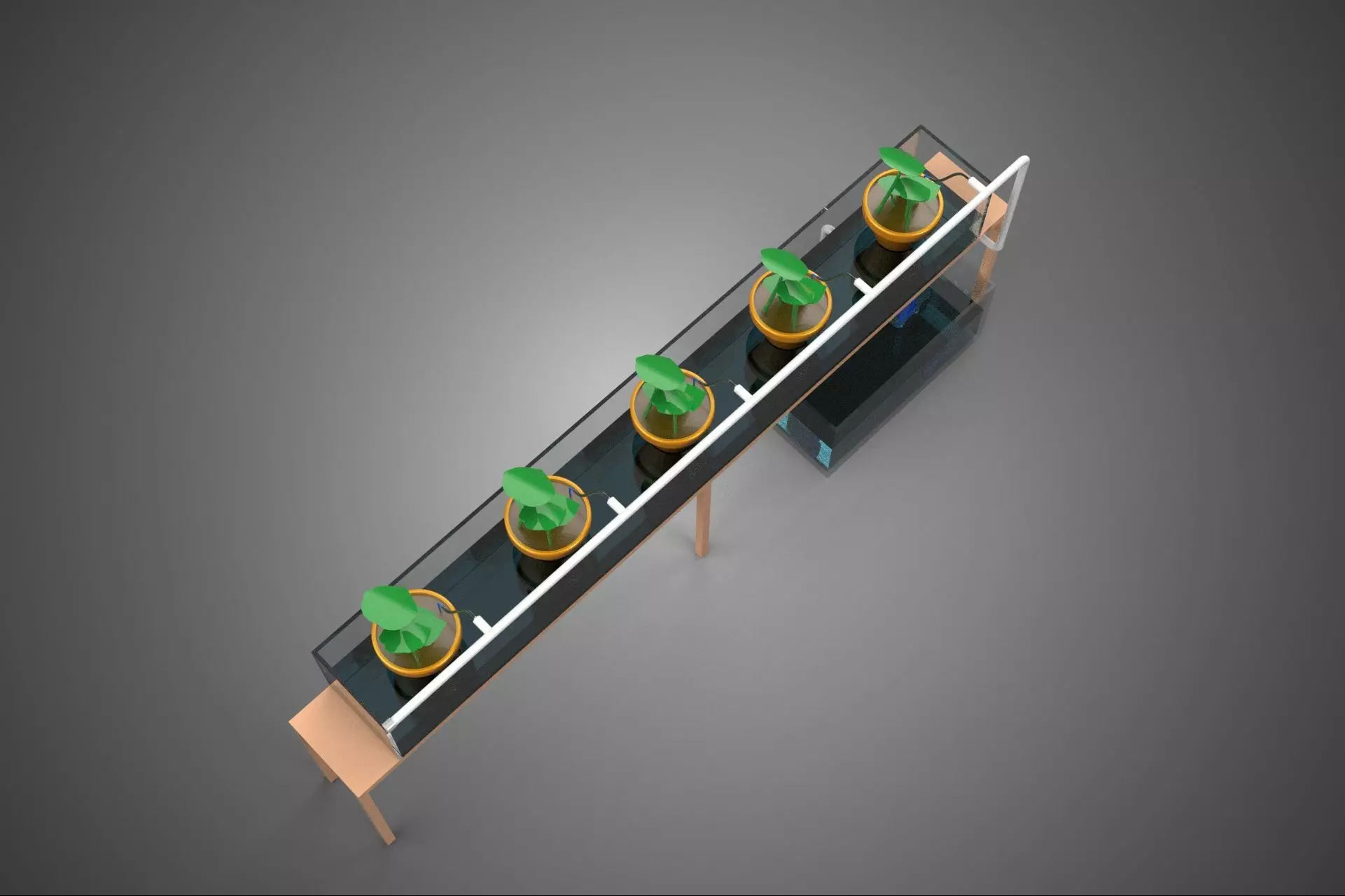 HYDROPONIC GROWTH PLANT FARMING DRIP IRRIGATION SYSTEM GARDENING 3D model_26