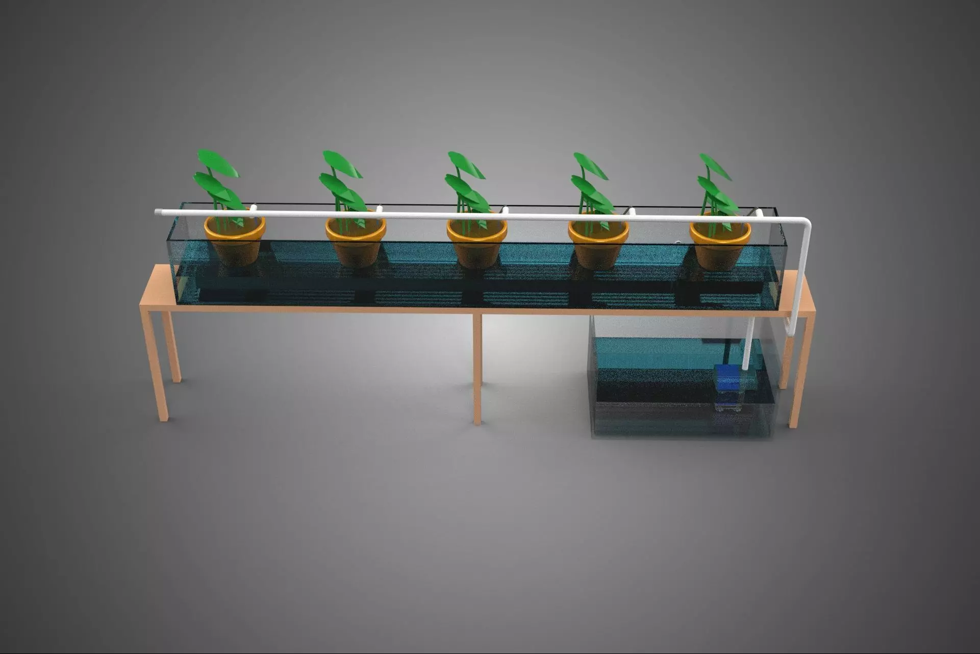 HYDROPONIC GROWTH PLANT FARMING DRIP IRRIGATION SYSTEM GARDENING 3D model_4