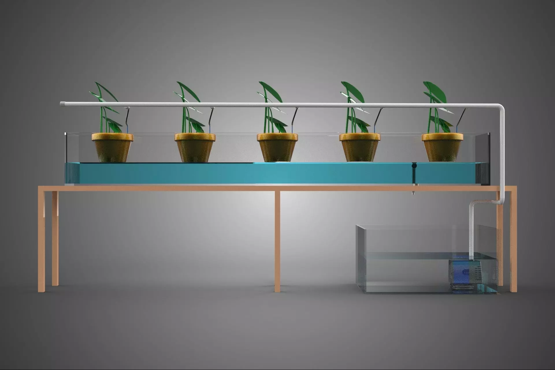 HYDROPONIC GROWTH PLANT FARMING DRIP IRRIGATION SYSTEM GARDENING 3D model_29