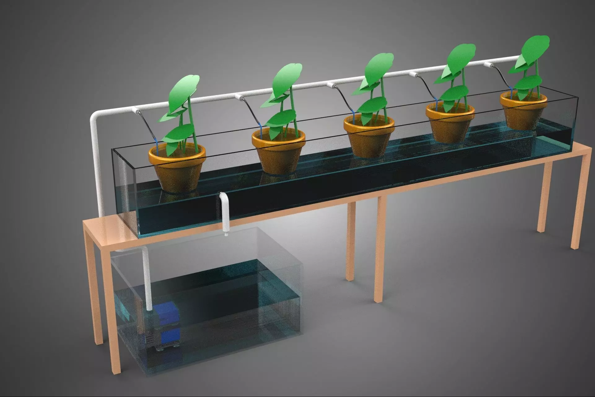 HYDROPONIC GROWTH PLANT FARMING DRIP IRRIGATION SYSTEM GARDENING 3D model_35