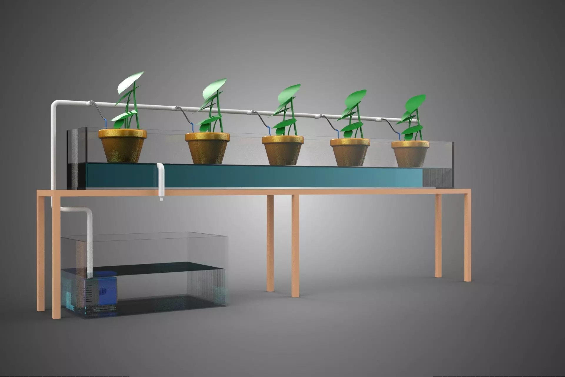 HYDROPONIC GROWTH PLANT FARMING DRIP IRRIGATION SYSTEM GARDENING 3D model_32