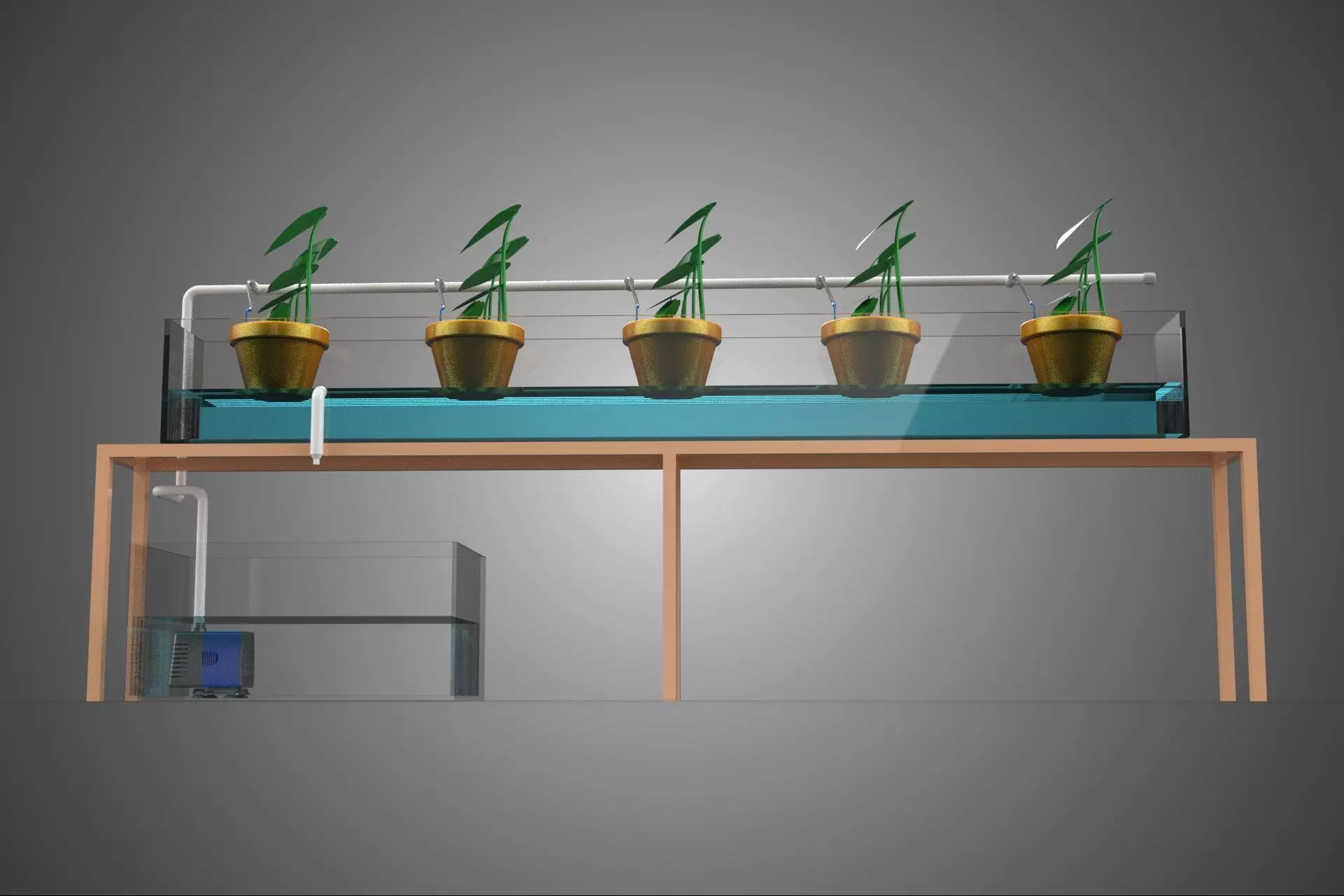HYDROPONIC GROWTH PLANT FARMING DRIP IRRIGATION SYSTEM GARDENING 3D model_23