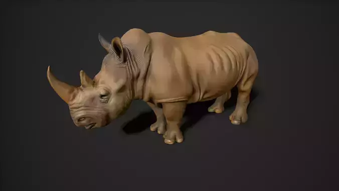 Rhino 3d model