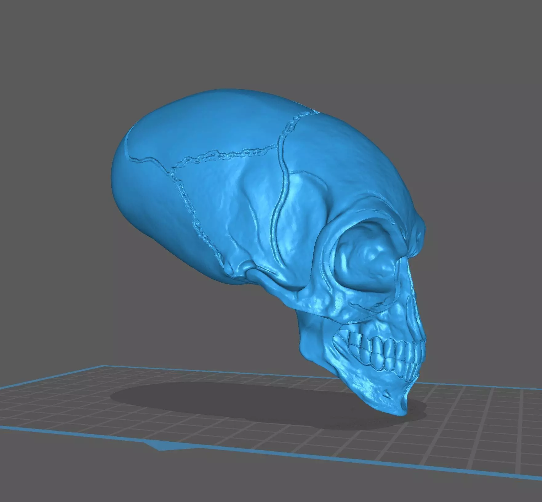 INDIANA JONES Crystal Skull 3D print model_1