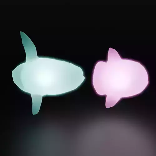 Sunfish Indirect Lighting