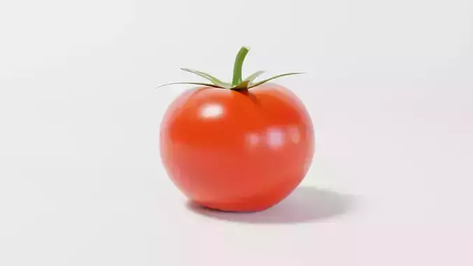 A Tomato 3D model