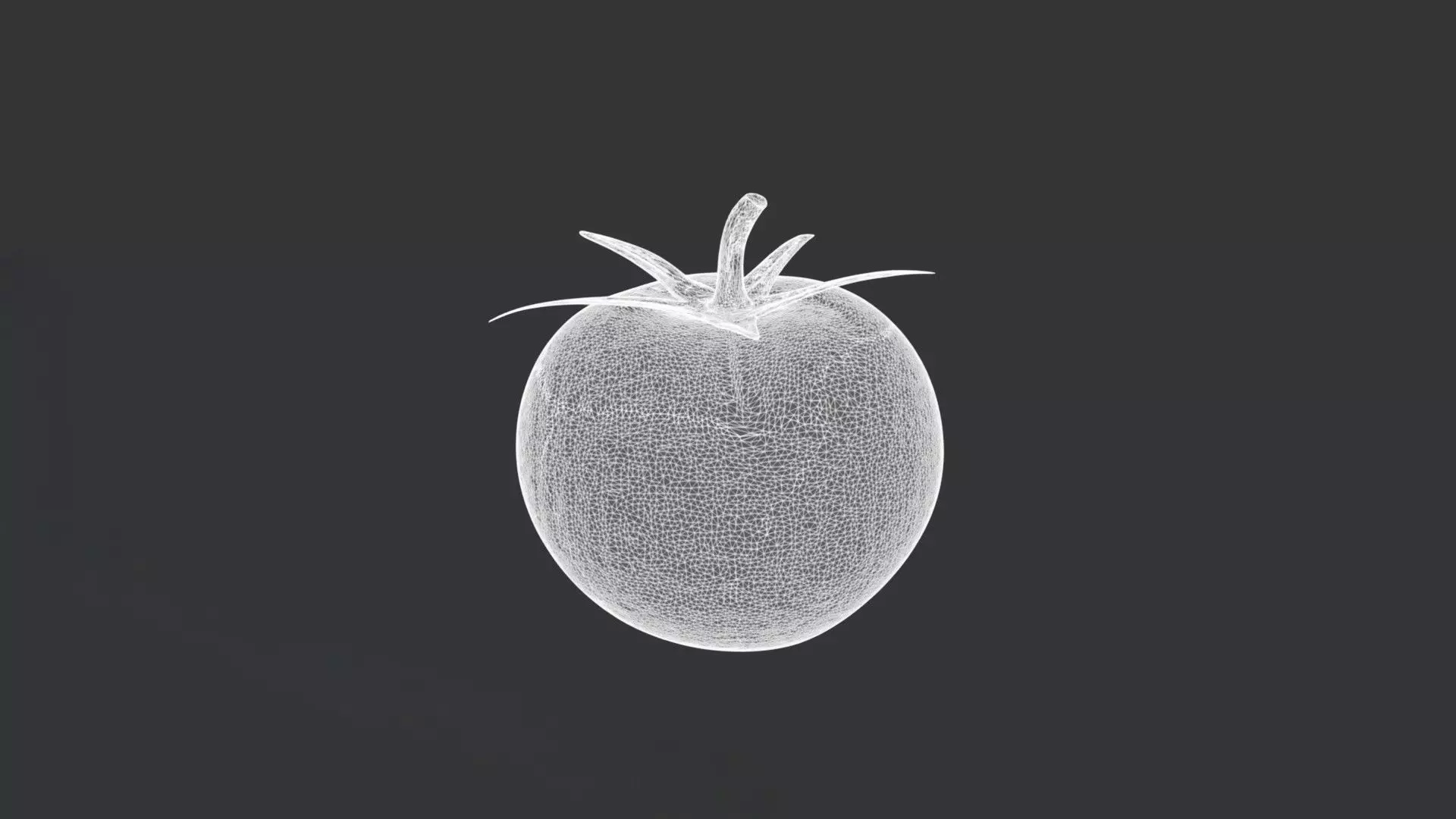 A Tomato 3D model_3