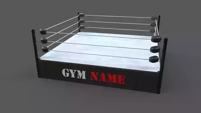 PBR Modular Professional Wrestling Rings 18ftx18ft Low-poly 3D model